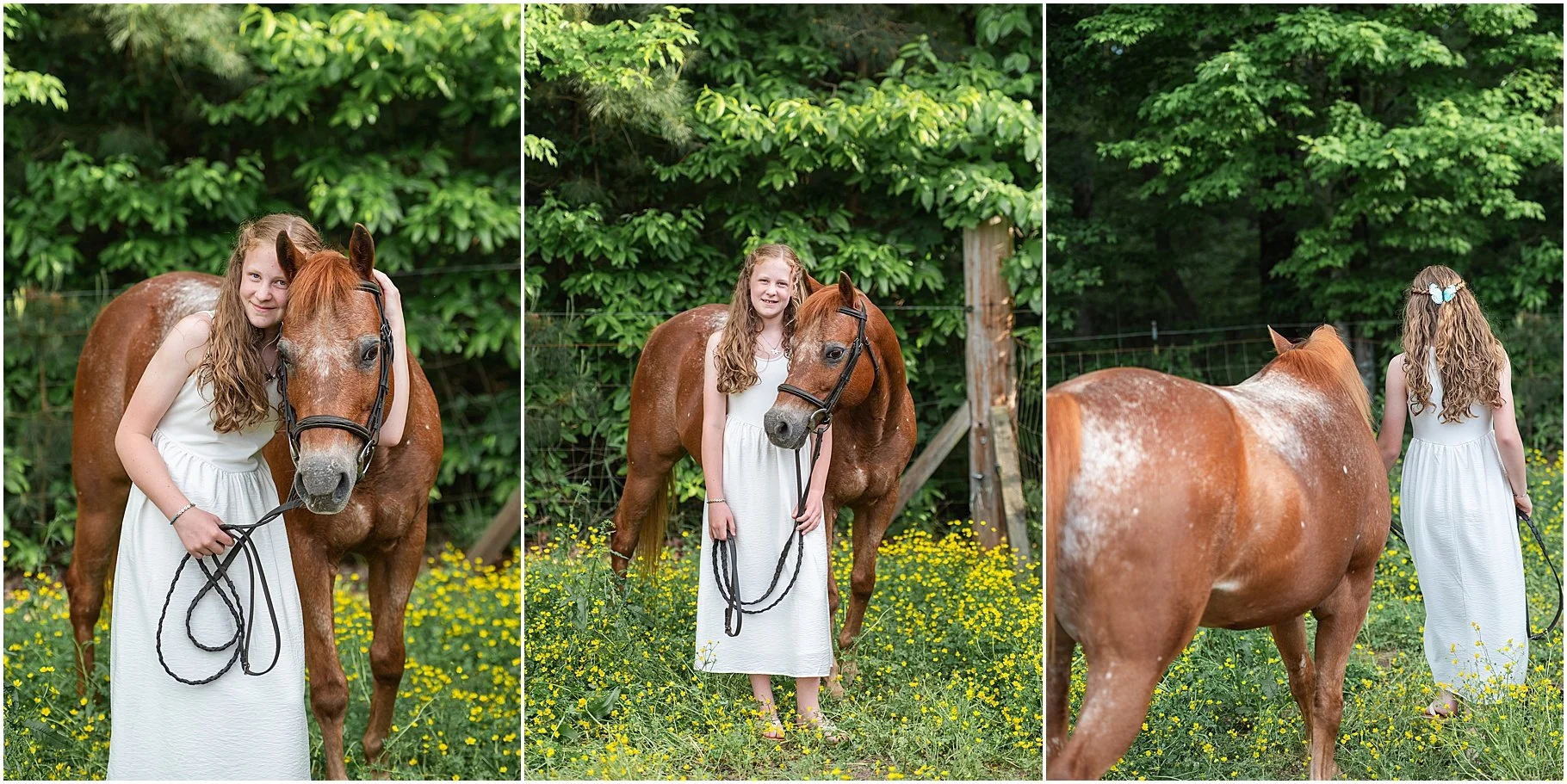 Little Creek Stables | Horse Photo Session