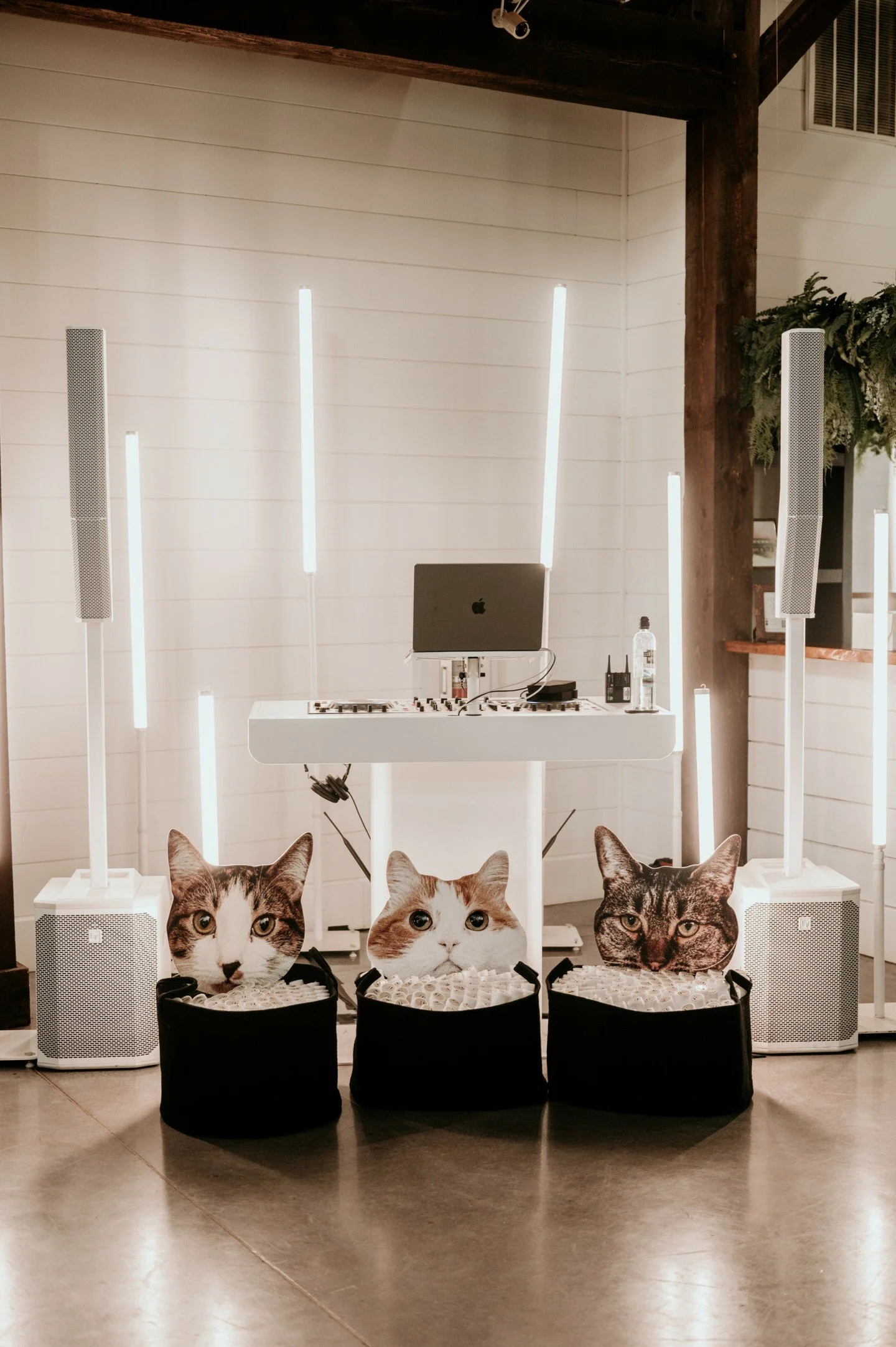 Today is National Cat Day, so what better to share some wedding details that feature...cats?  Last October, Cheyenne and Ethan honored their three cats at their wedding in a variety of ways, including featuring them on cocktail napkins, sharing pet t