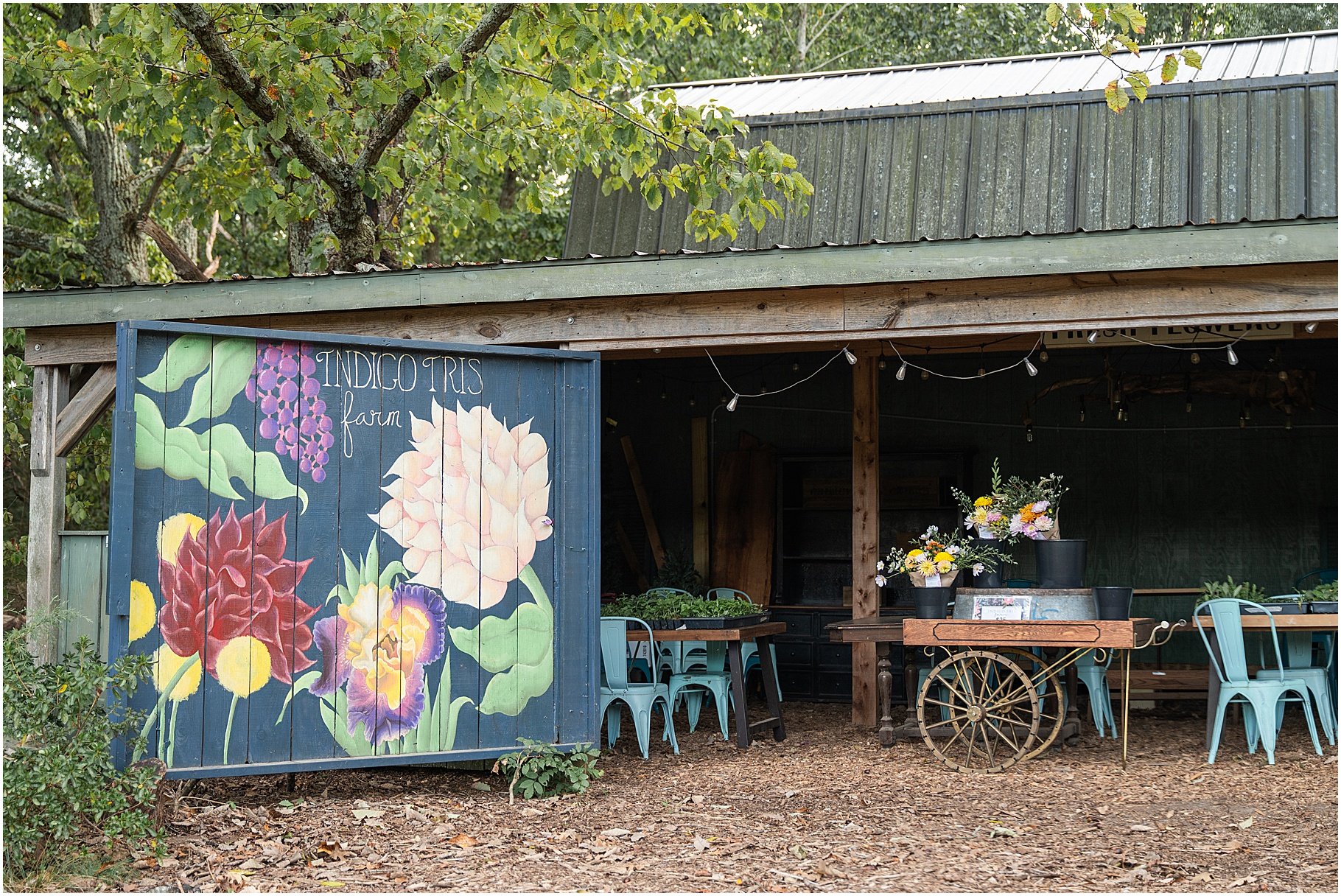 Indigo Iris Farm, Clover SC