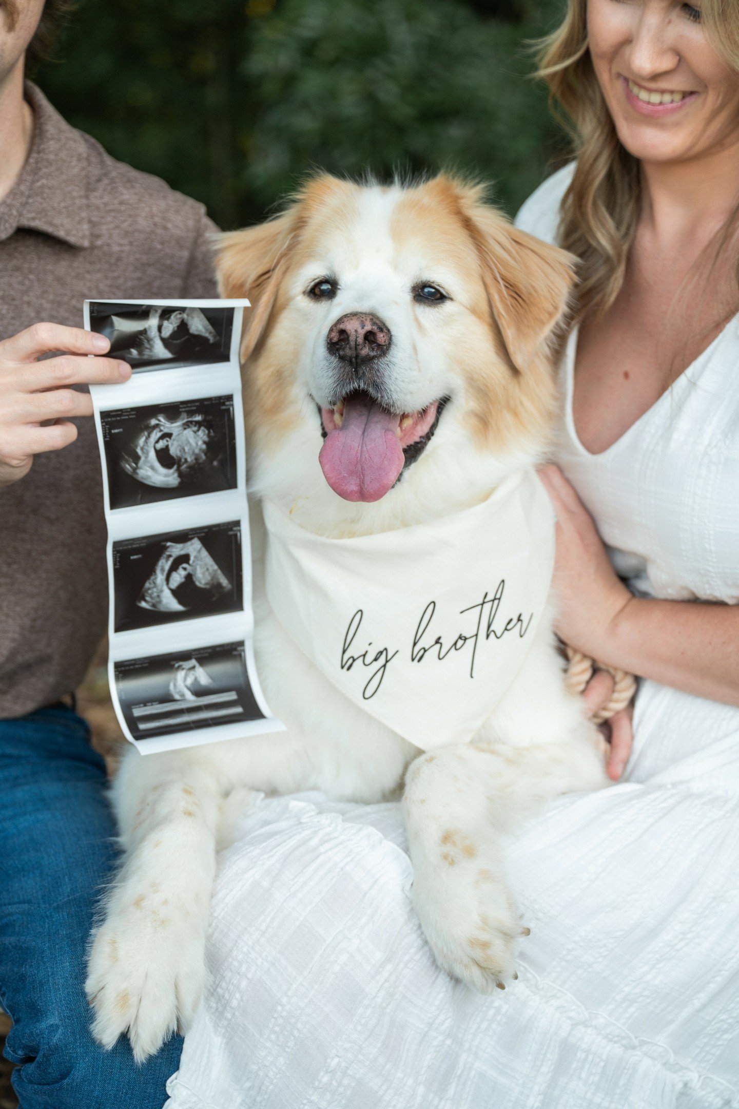 I think someone's happy about becoming a big brother...😍
Congratulations Claire &amp; Dalton!
*
*
*
*
*
#kimberlycaublephotography #charlottefamilyphotographer #charlottematernityphotographer #harleyfarms #clovermaternityphotographer