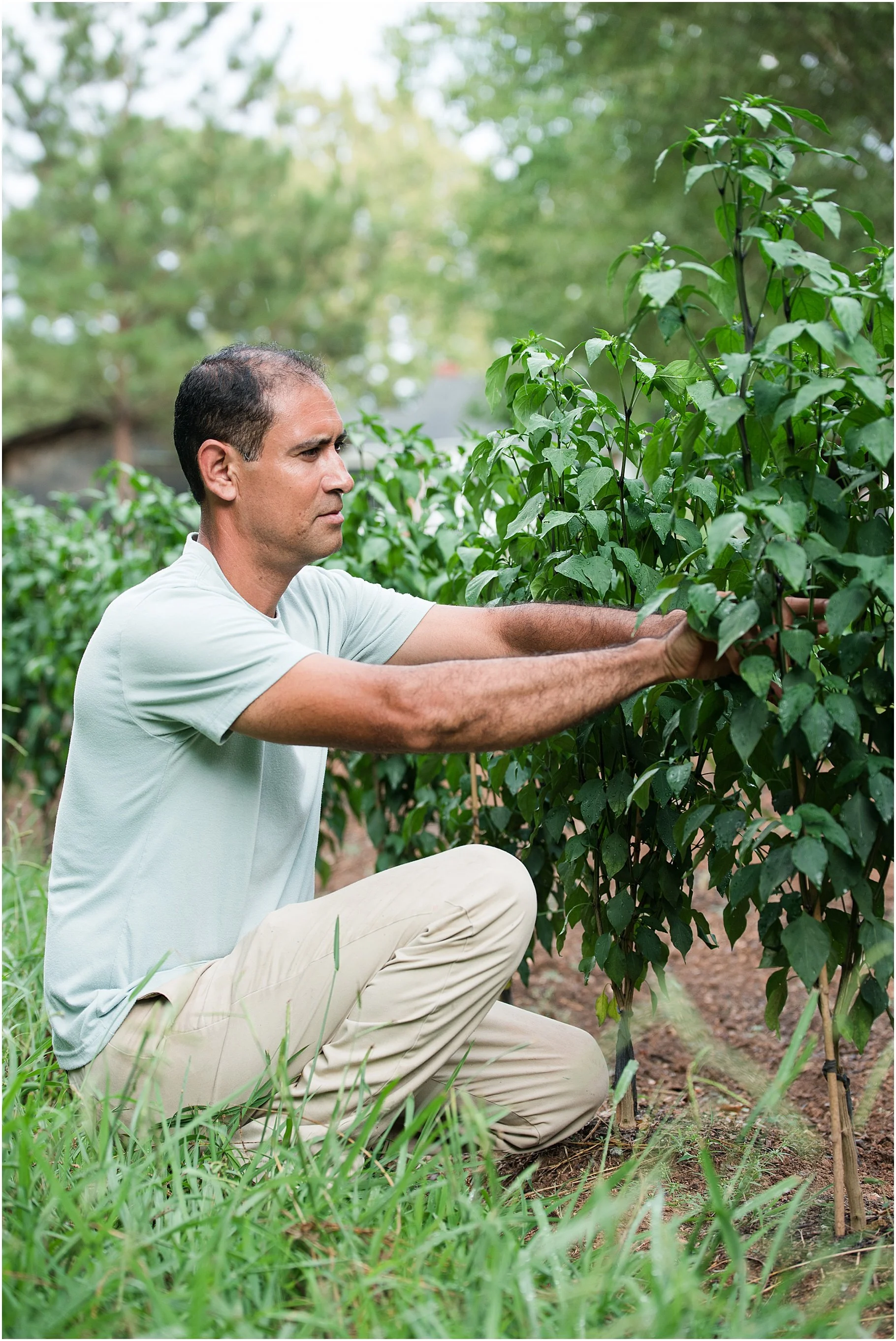 Noe's Gardening Service, Rock Hill SC