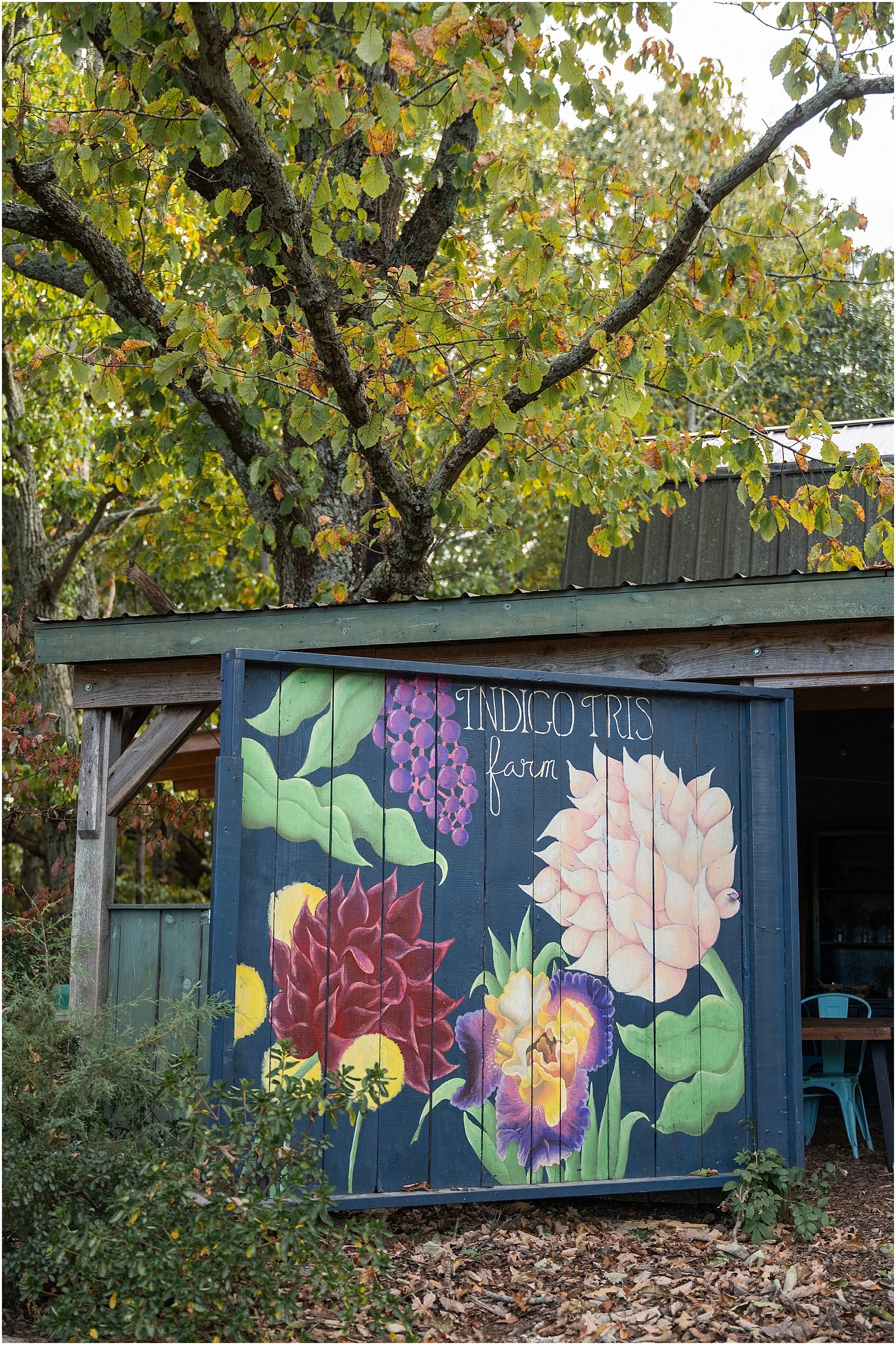 Indigo Iris Farm, Clover SC