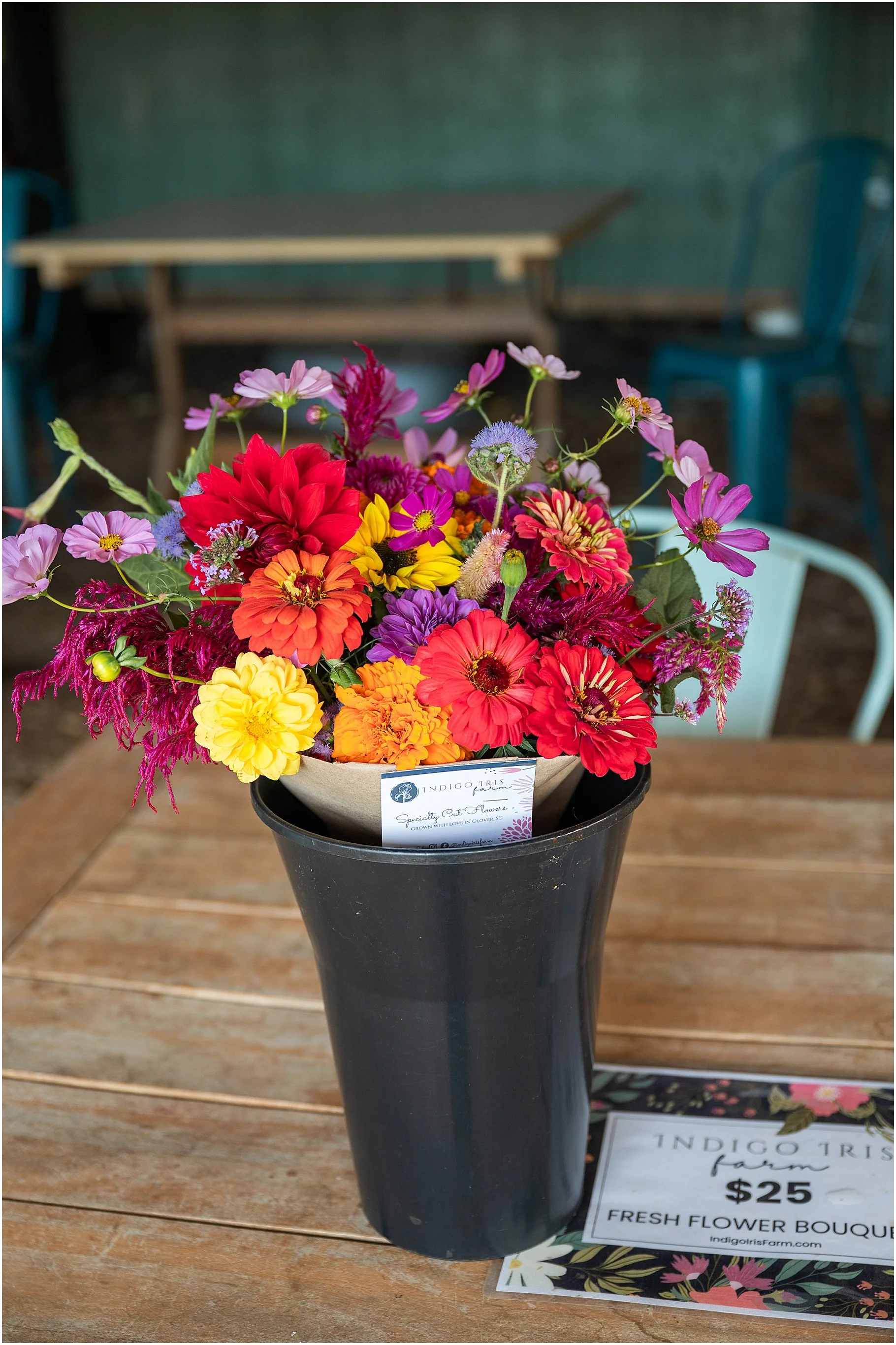 Indigo Iris Farm, Clover SC