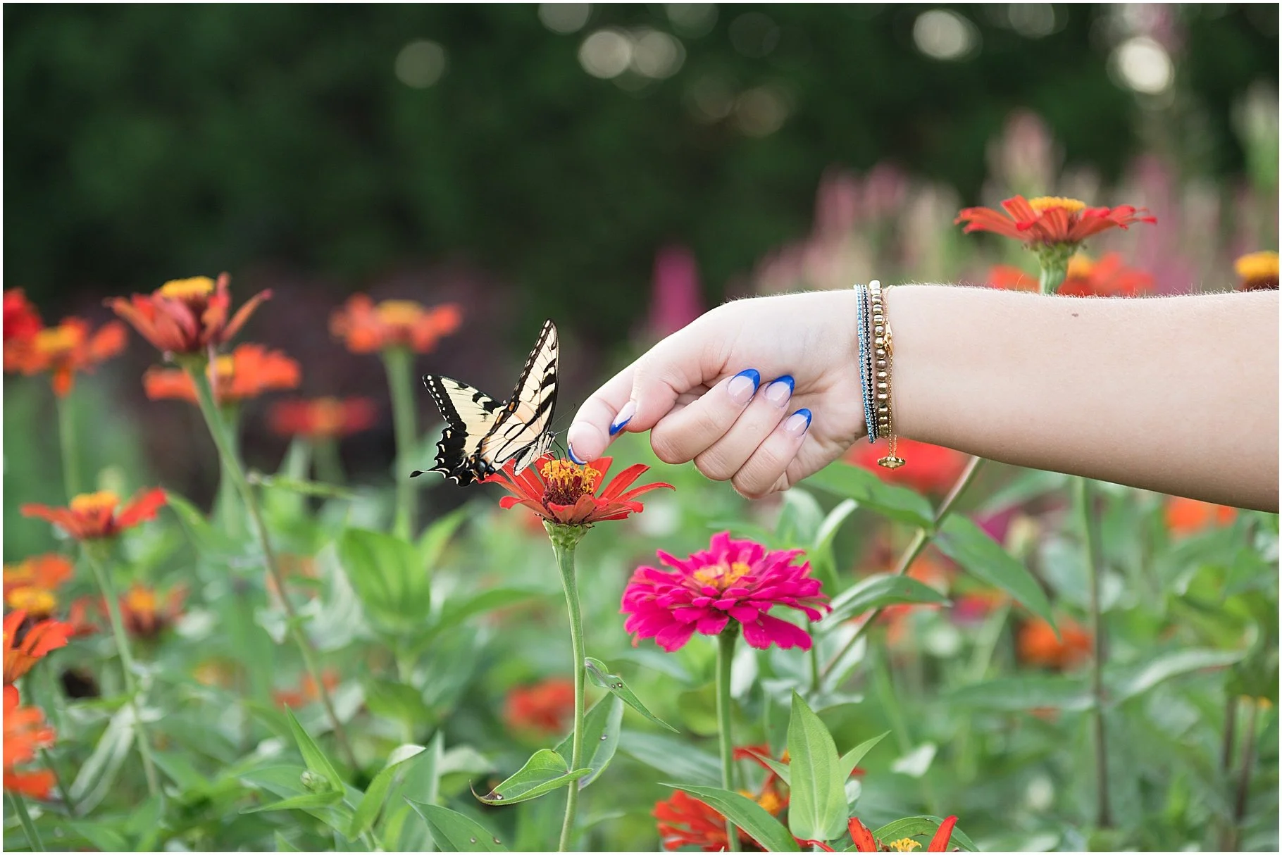 Five Blossoms Farm, Clover SC