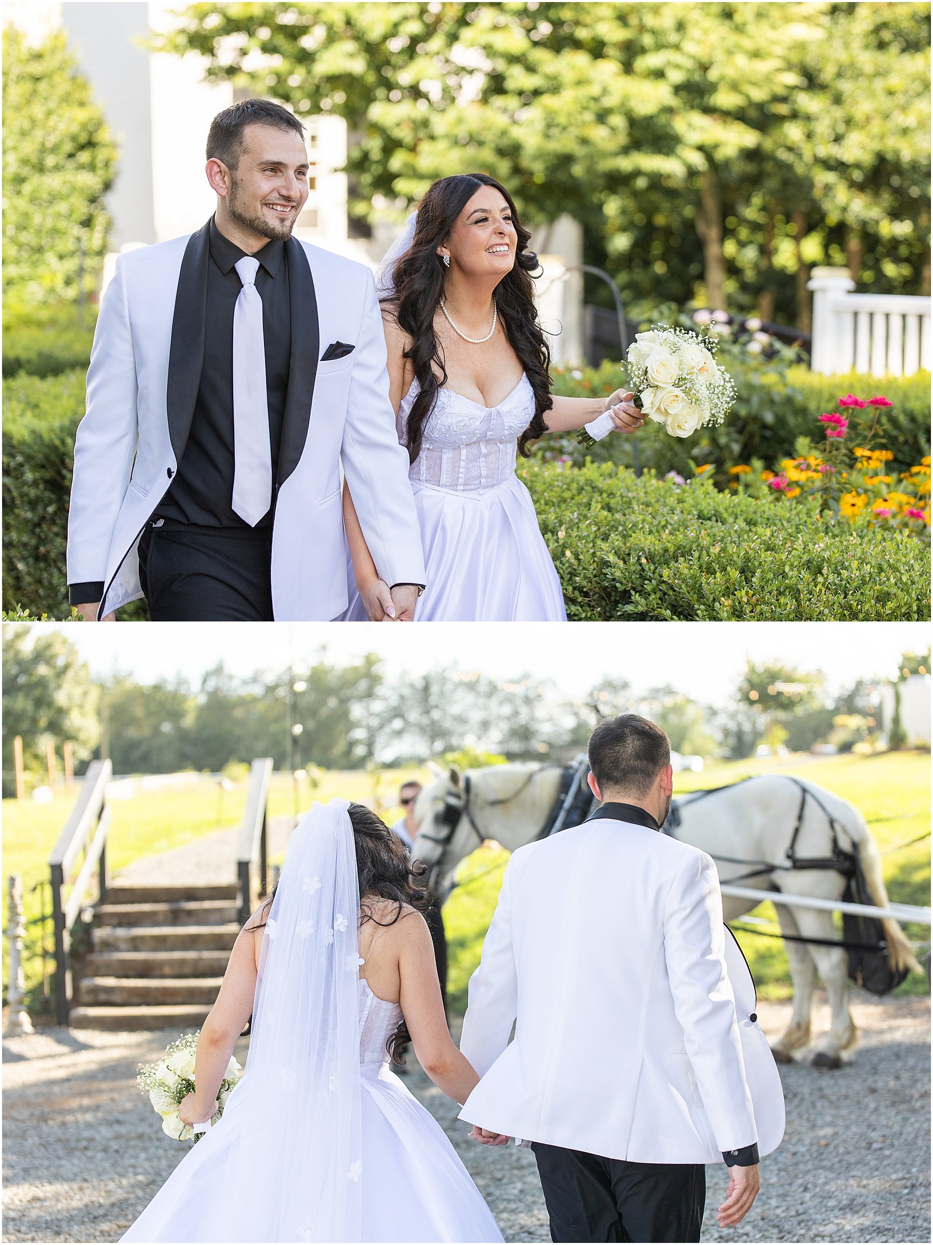 Southern Breezes Carriages | Surprise Carriage Ride