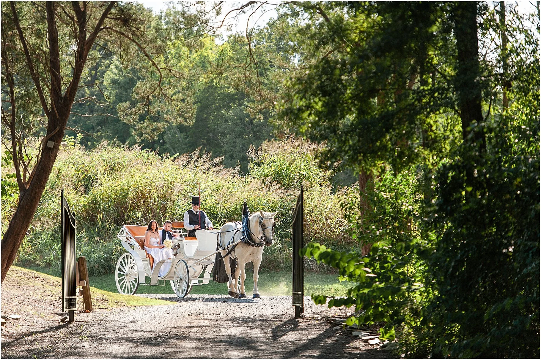 Romantic Bridgerton Wedding Carriage Ride | Southern Breezes Carriages