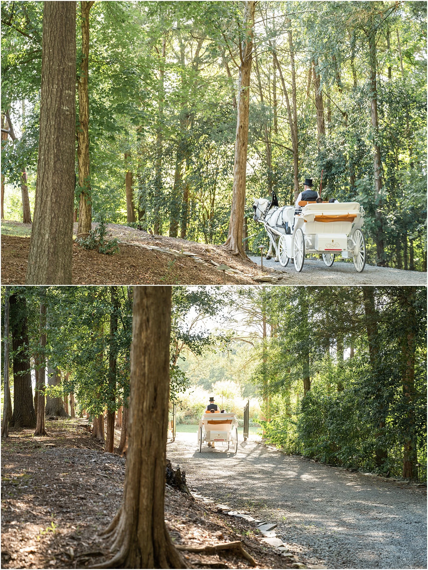Romantic Wedding Carriage Ride | Southern Breezes Carriages