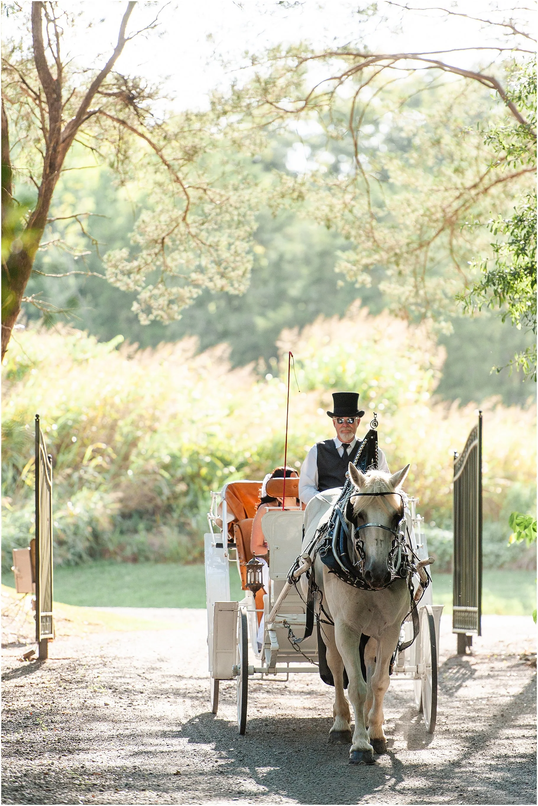 Bridgerton-Themed Wedding | Southern Breezes Carriages
