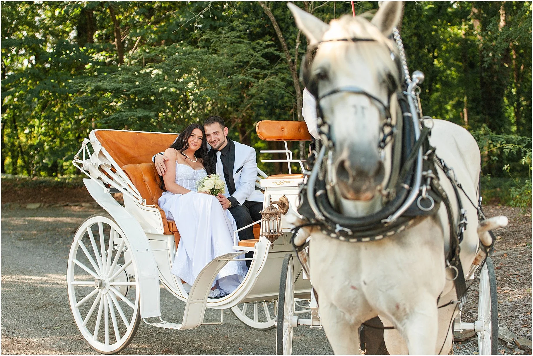 Romantic Carriage Ride | Southern Breezes Carriages