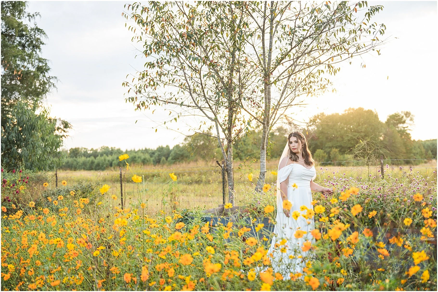 Indigo Iris Farm | Clover Wedding Photographer
