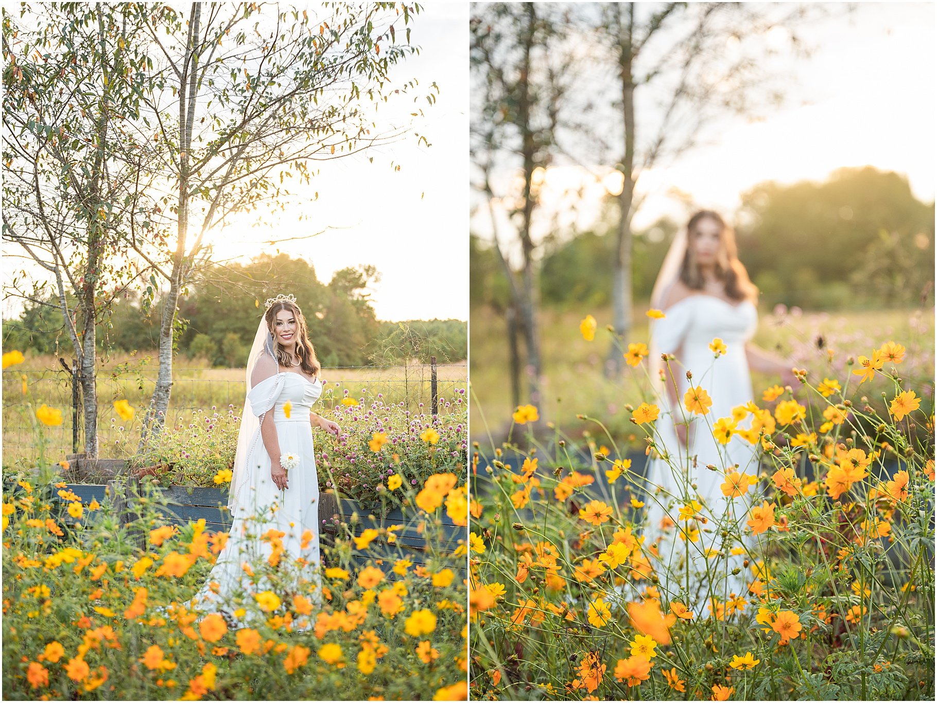 Indigo Iris Farm | SC Wedding Photographer