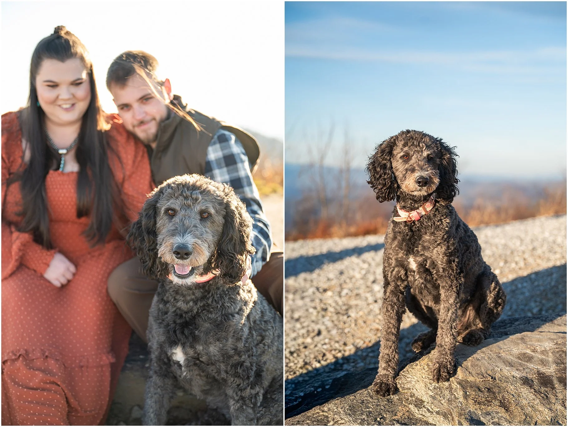 Sassafras Mountain Engagement Session | Engagement Photo with Dog