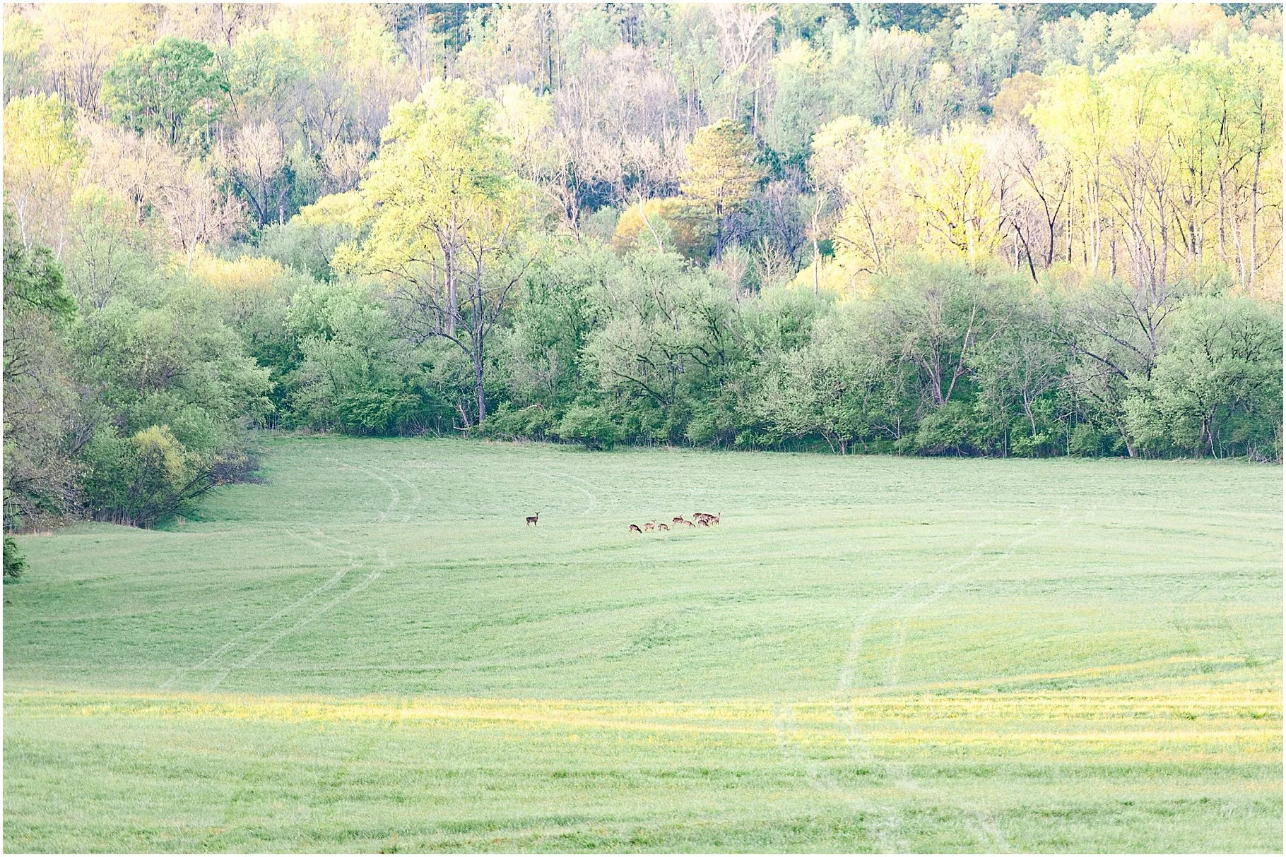 Turkey Ridge Wedding Venue | Kings Mountain Wedding Photographer