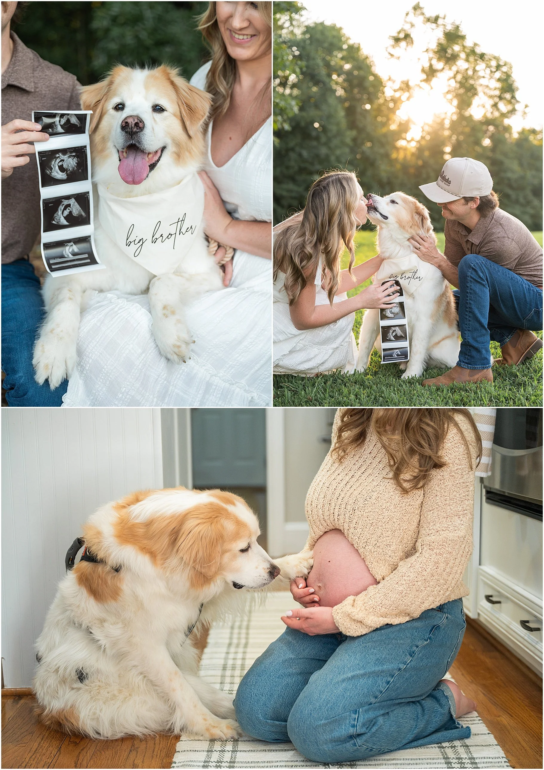 Charlotte Maternity Photos | Maternity Photos with Dog