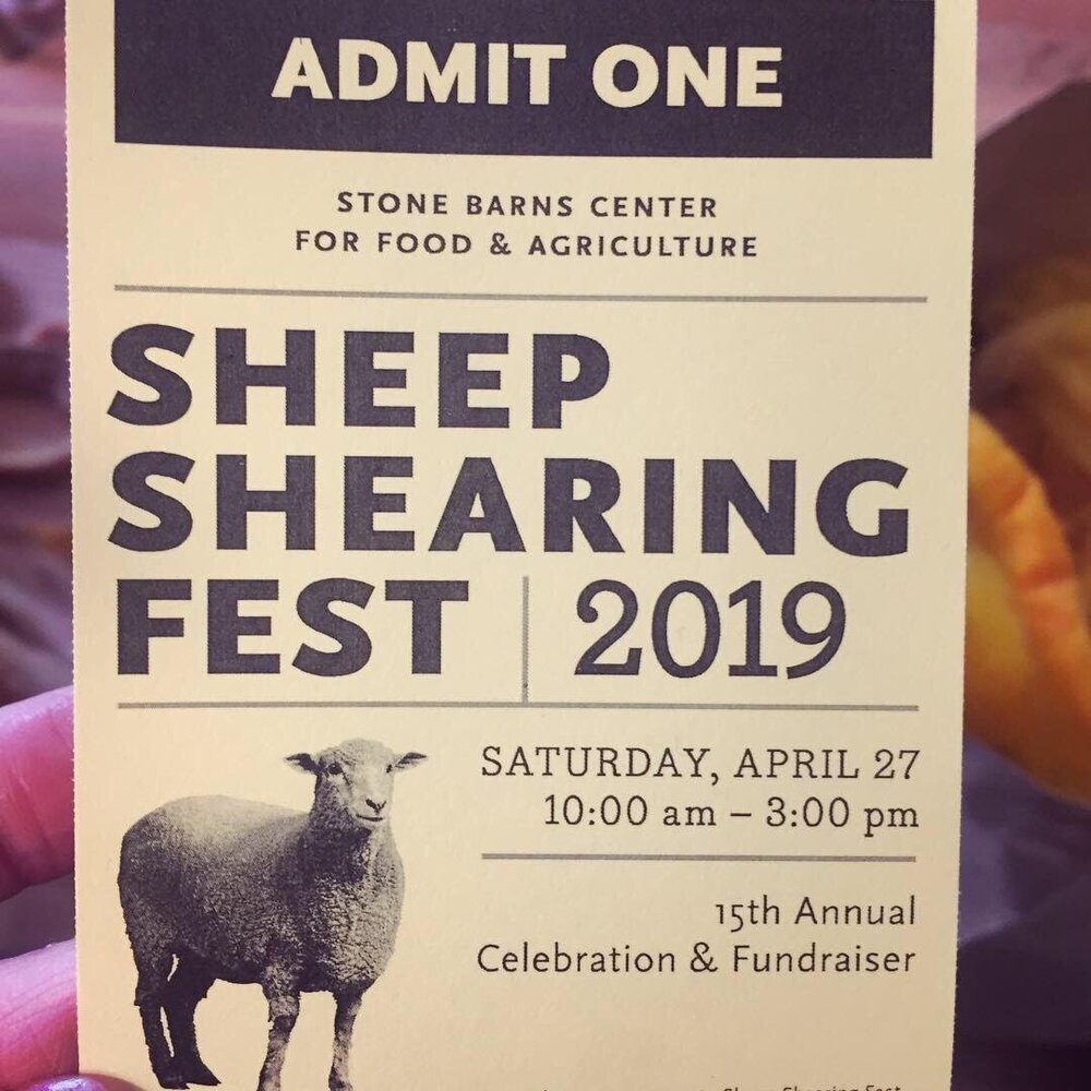 stone-barns-farm-sheep-shearing-festival.jpeg