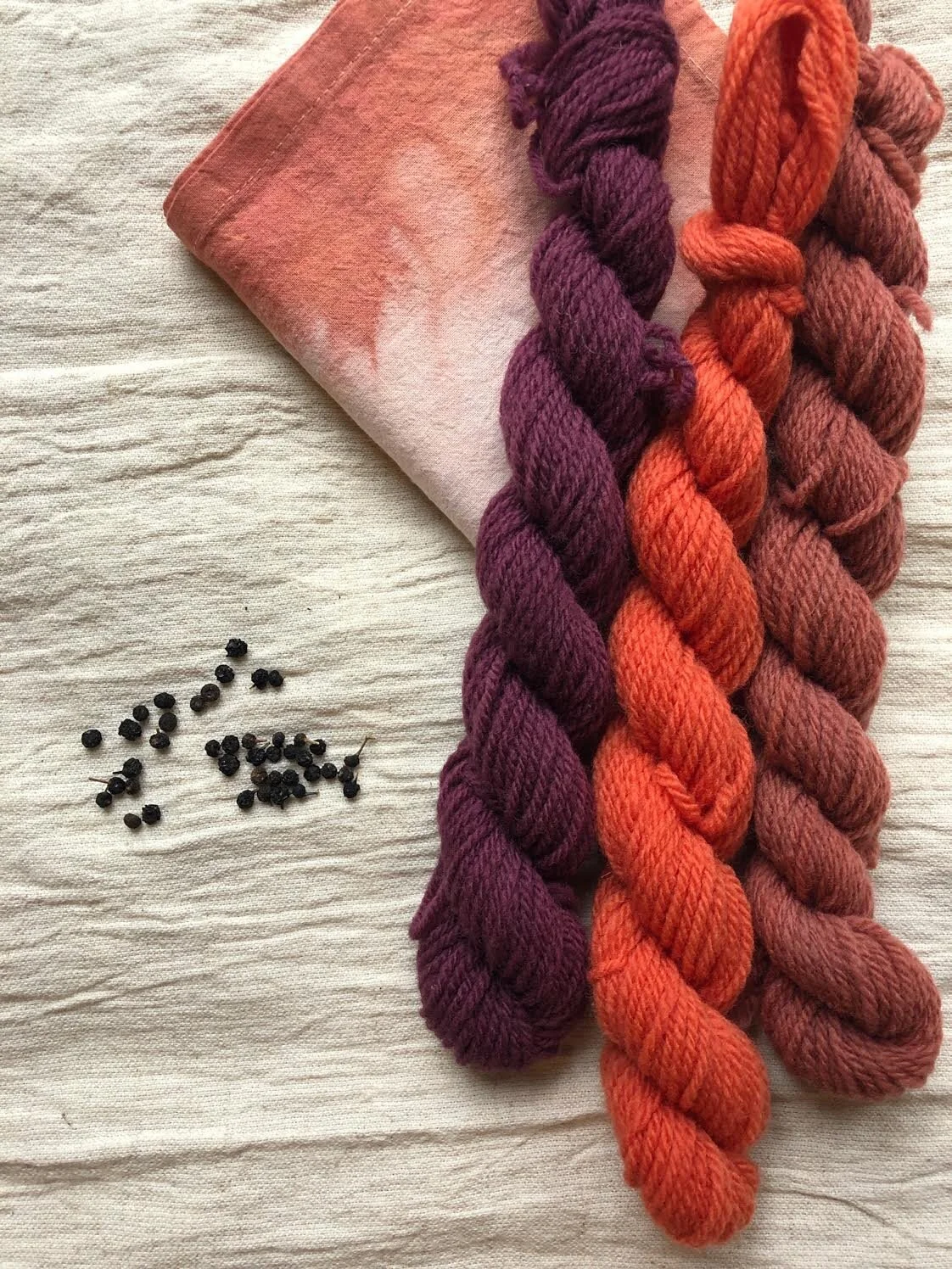 Learn to Plant A Dye Garden & Intro to Natural Plant Dyeing!