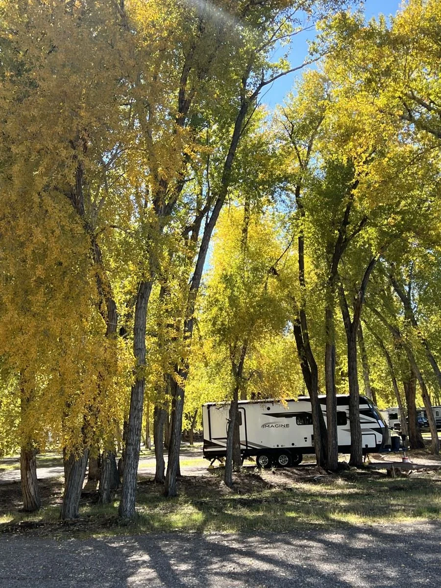 River Wood RV site area beneath autumn trees at Woods and River RV Park in Del Norte, Colorado.