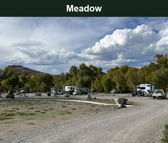 Meadow RV sites with parked RVs, gravel drives, trees and mountain views at Woods and River RV Park.
