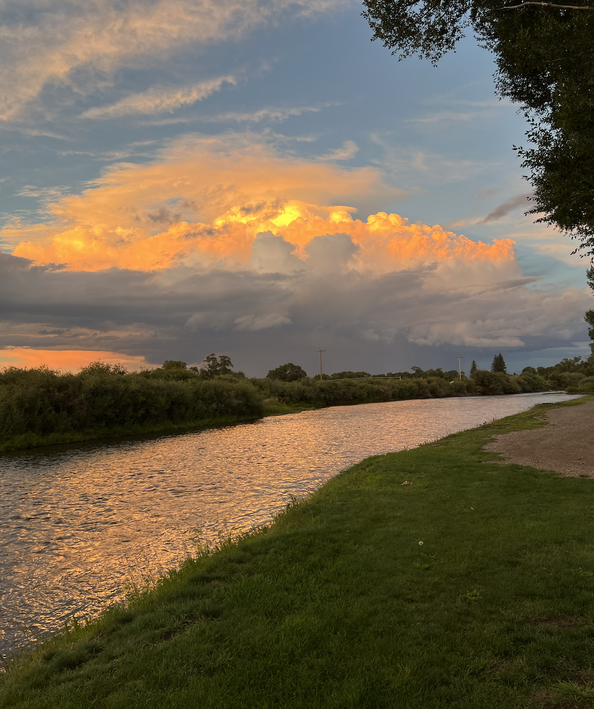 Screenshot 2026-03-24 at 6.43.52 PM.png