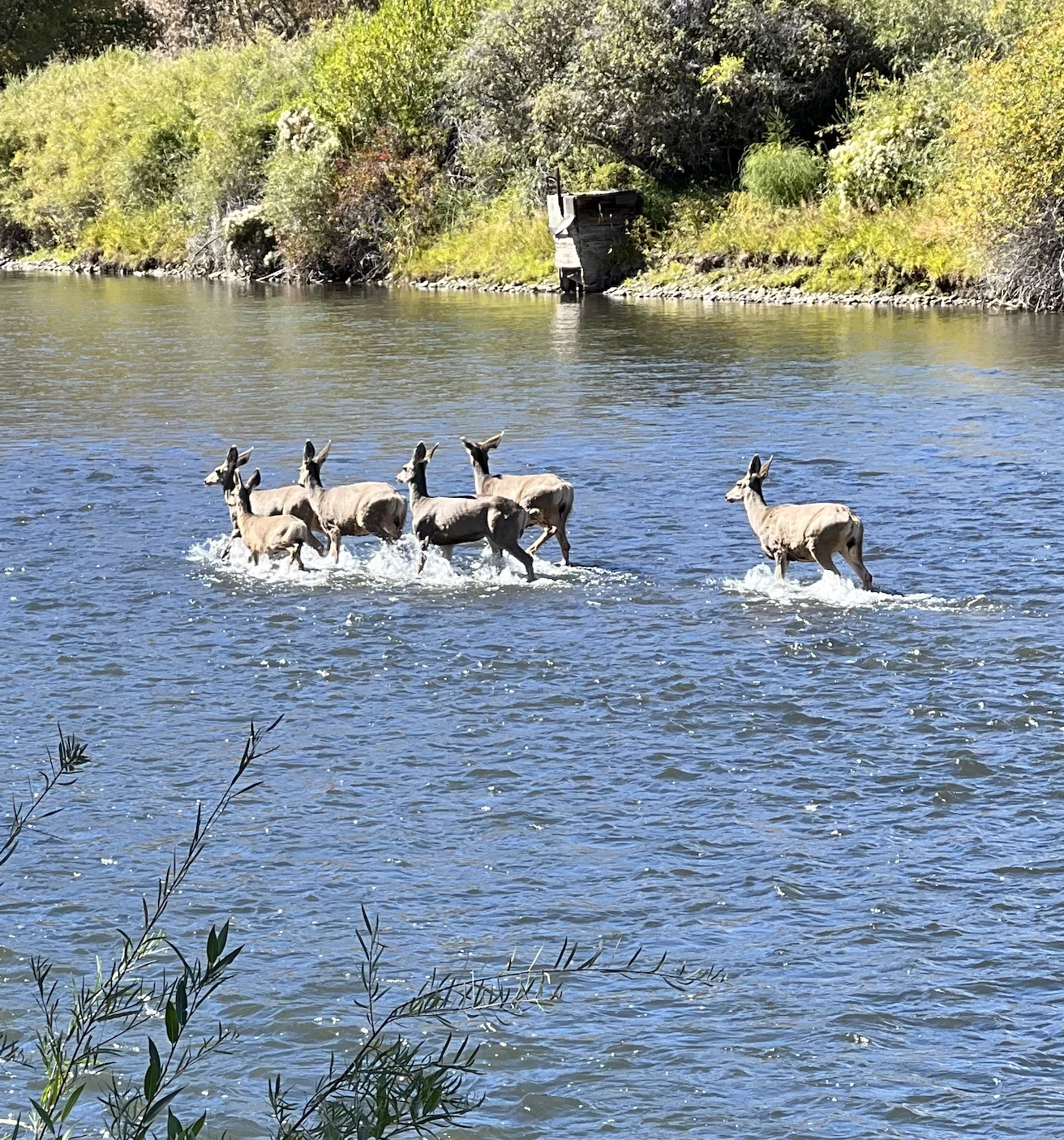 Screenshot 2026-03-24 at 7.18.23 PM.png