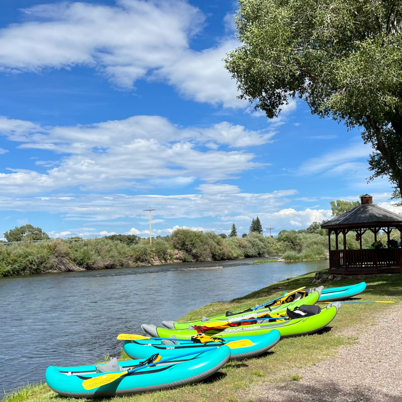 image1_resized (1).png