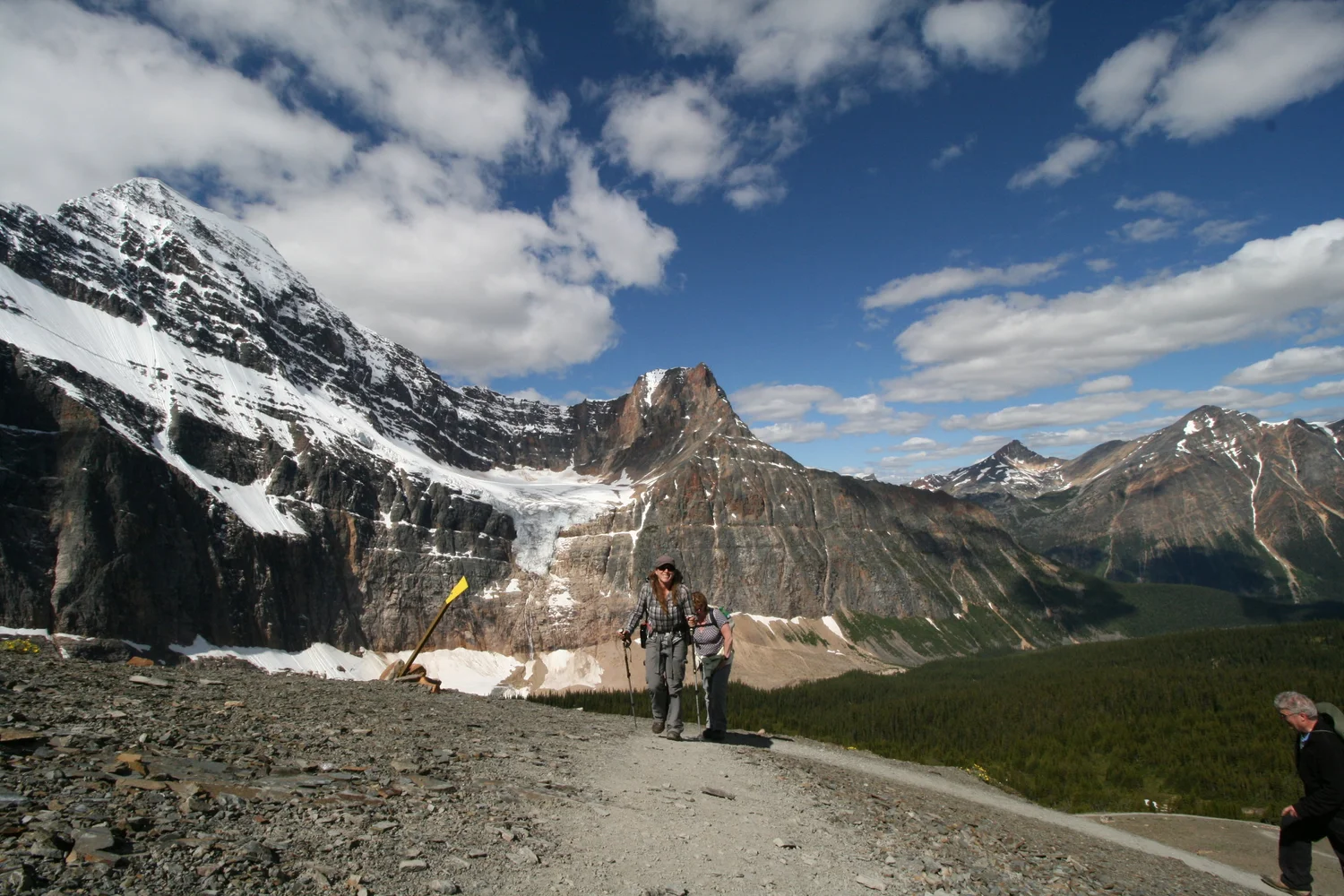 Canadian Skyline Adventures | Hiking Tours in Jasper