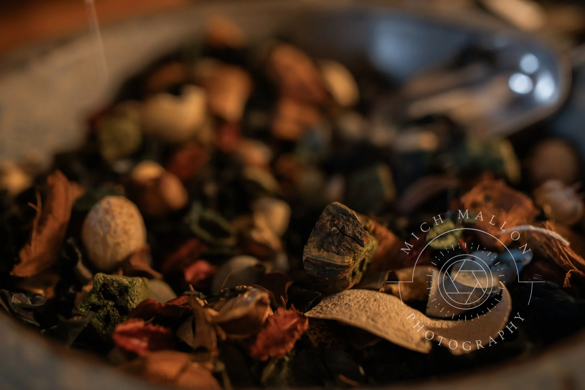 AntiquePhotos_MichMallonPhoto2026-07.jpg