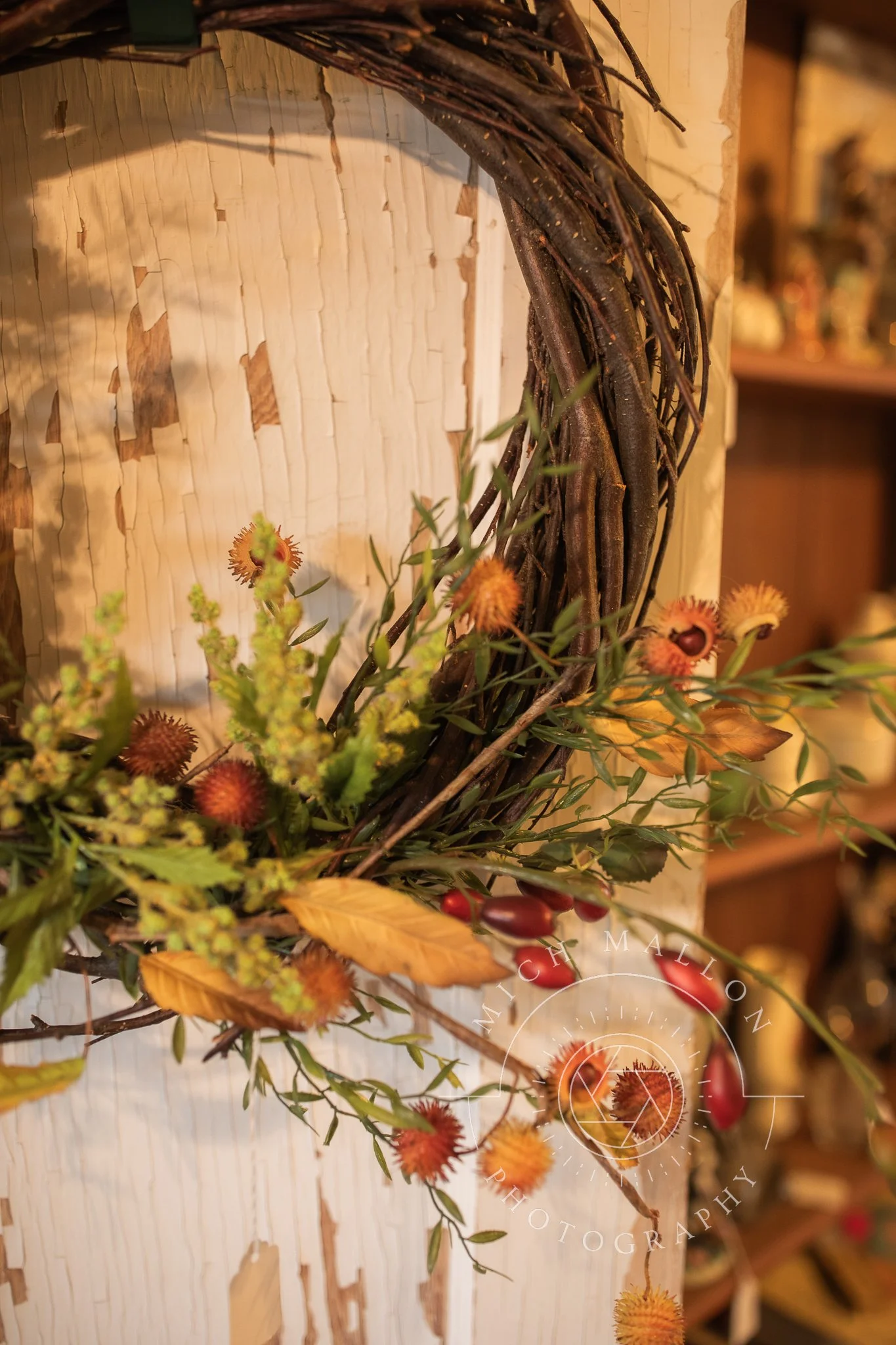 AntiquePhotos_MichMallonPhoto2026-22.jpg