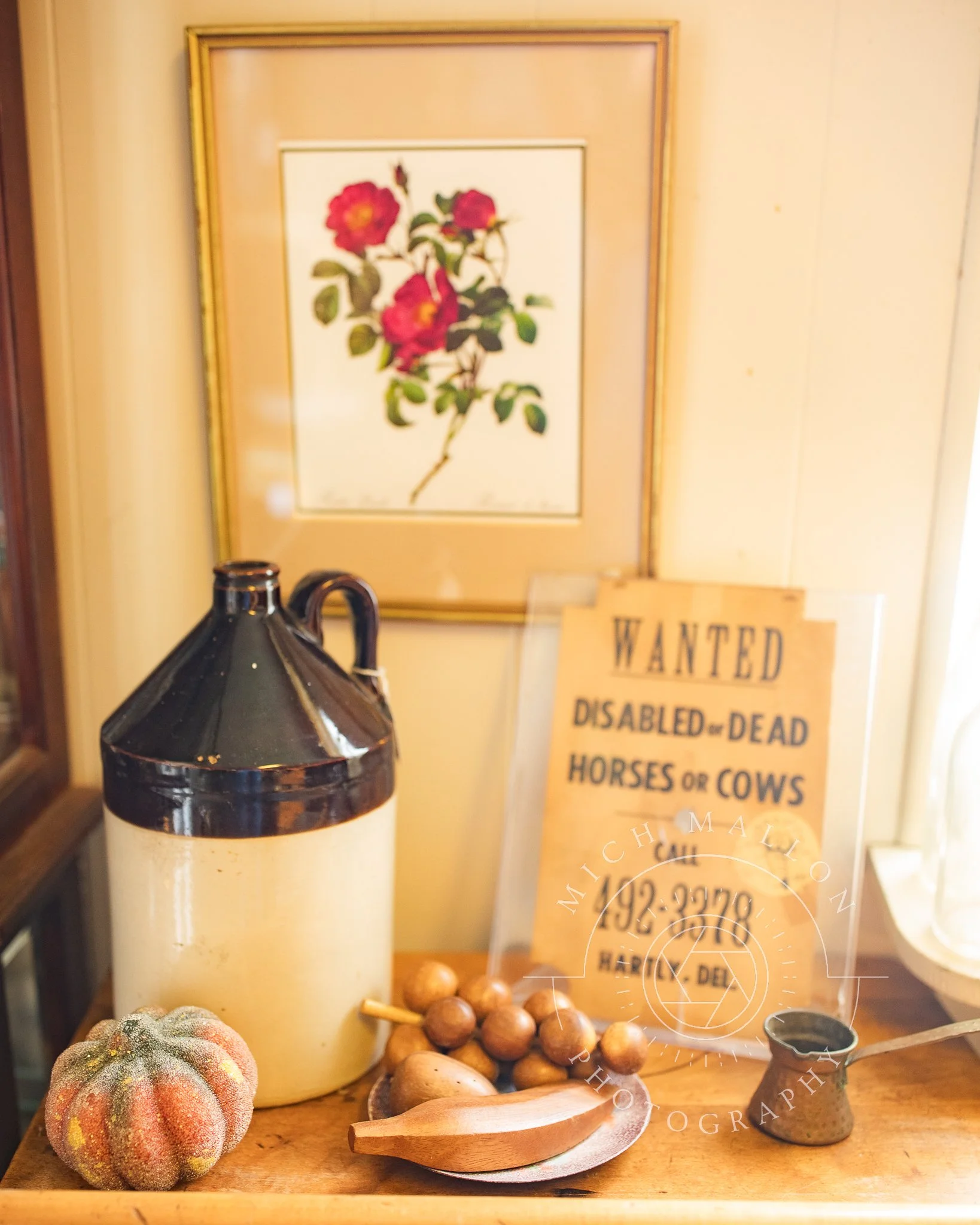 AntiquePhotos_MichMallonPhoto2026-24.jpg