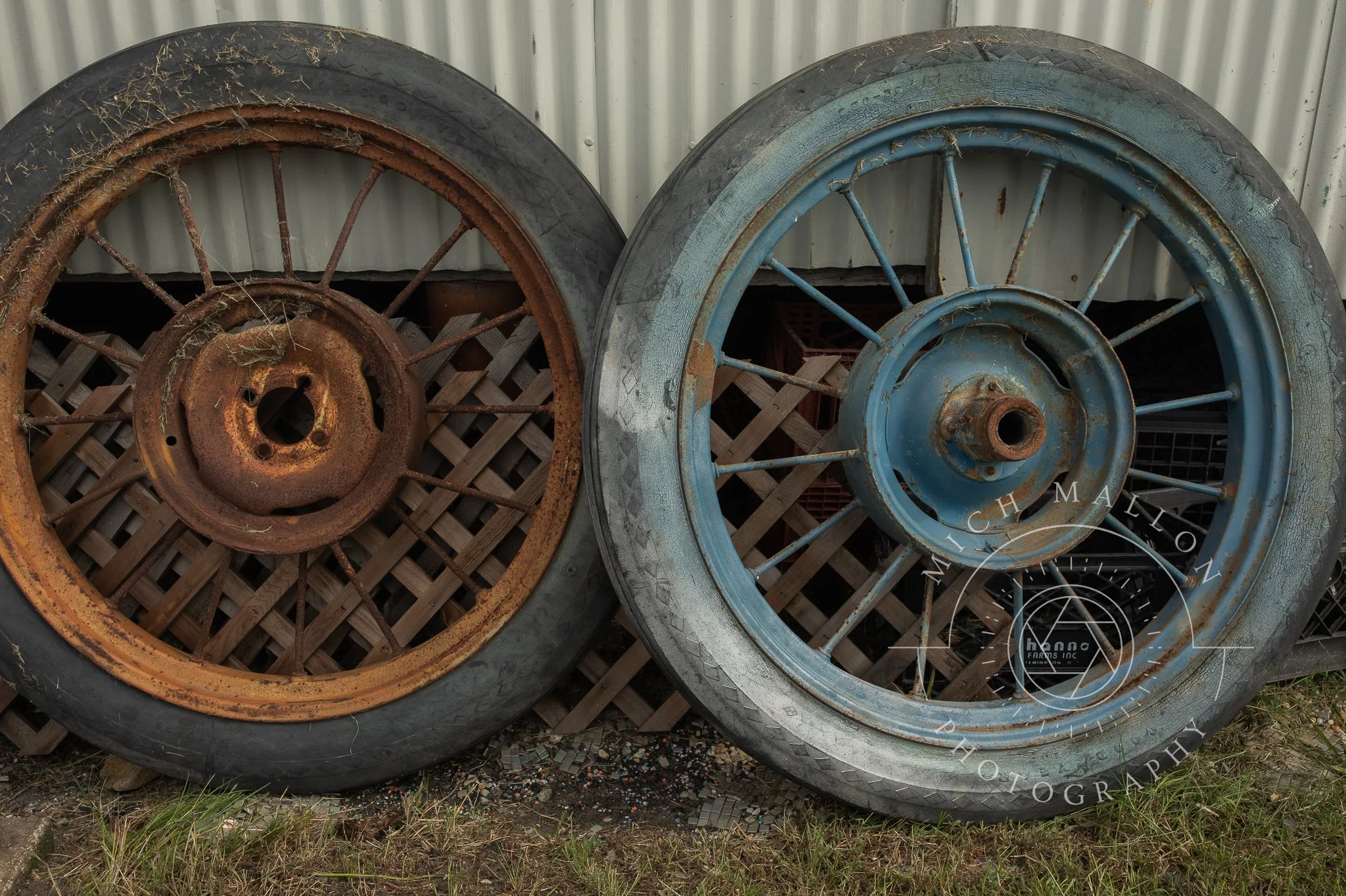 AntiquePhotos_MichMallonPhoto2026-27.jpg
