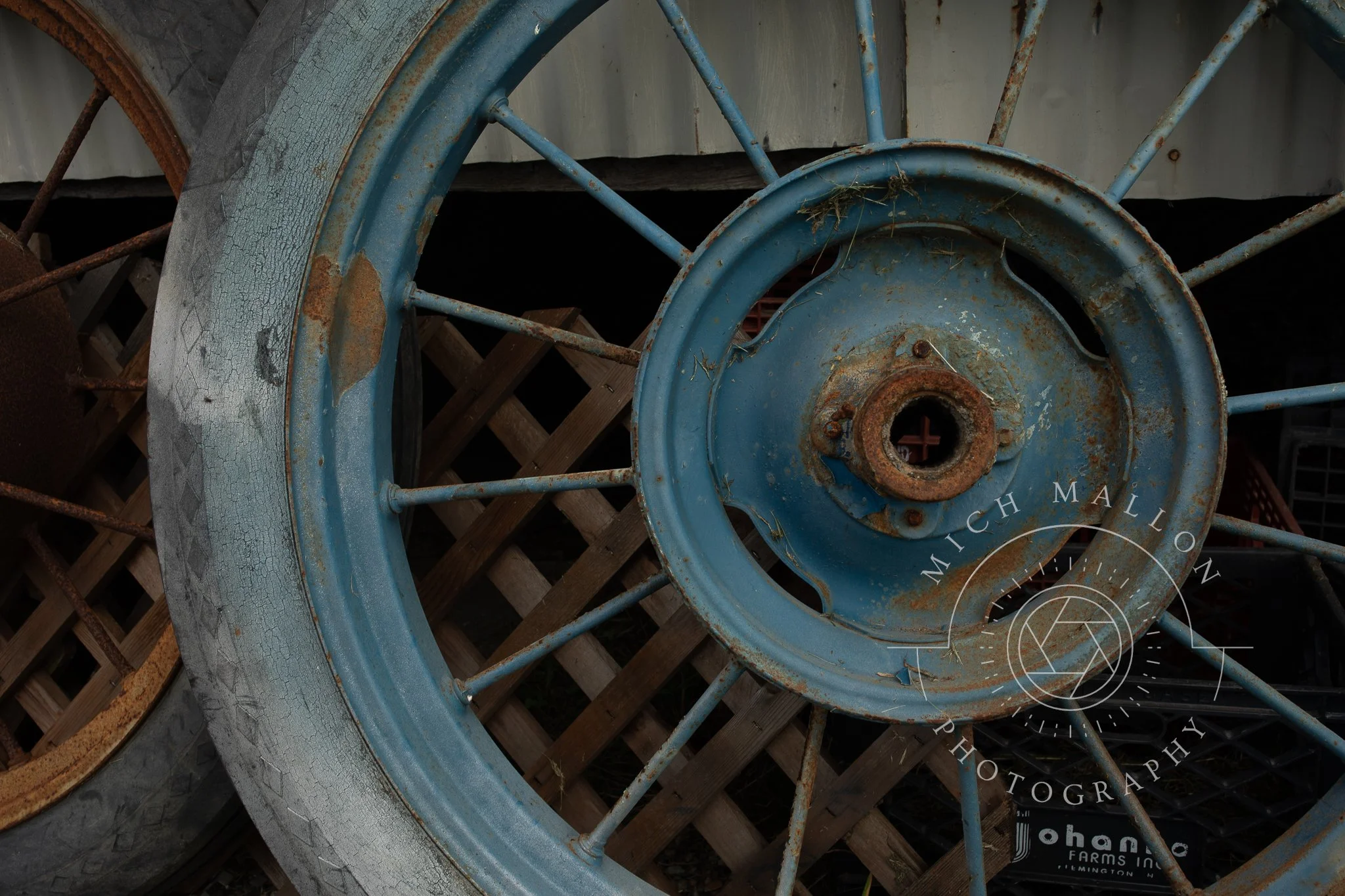 AntiquePhotos_MichMallonPhoto2026-32.jpg