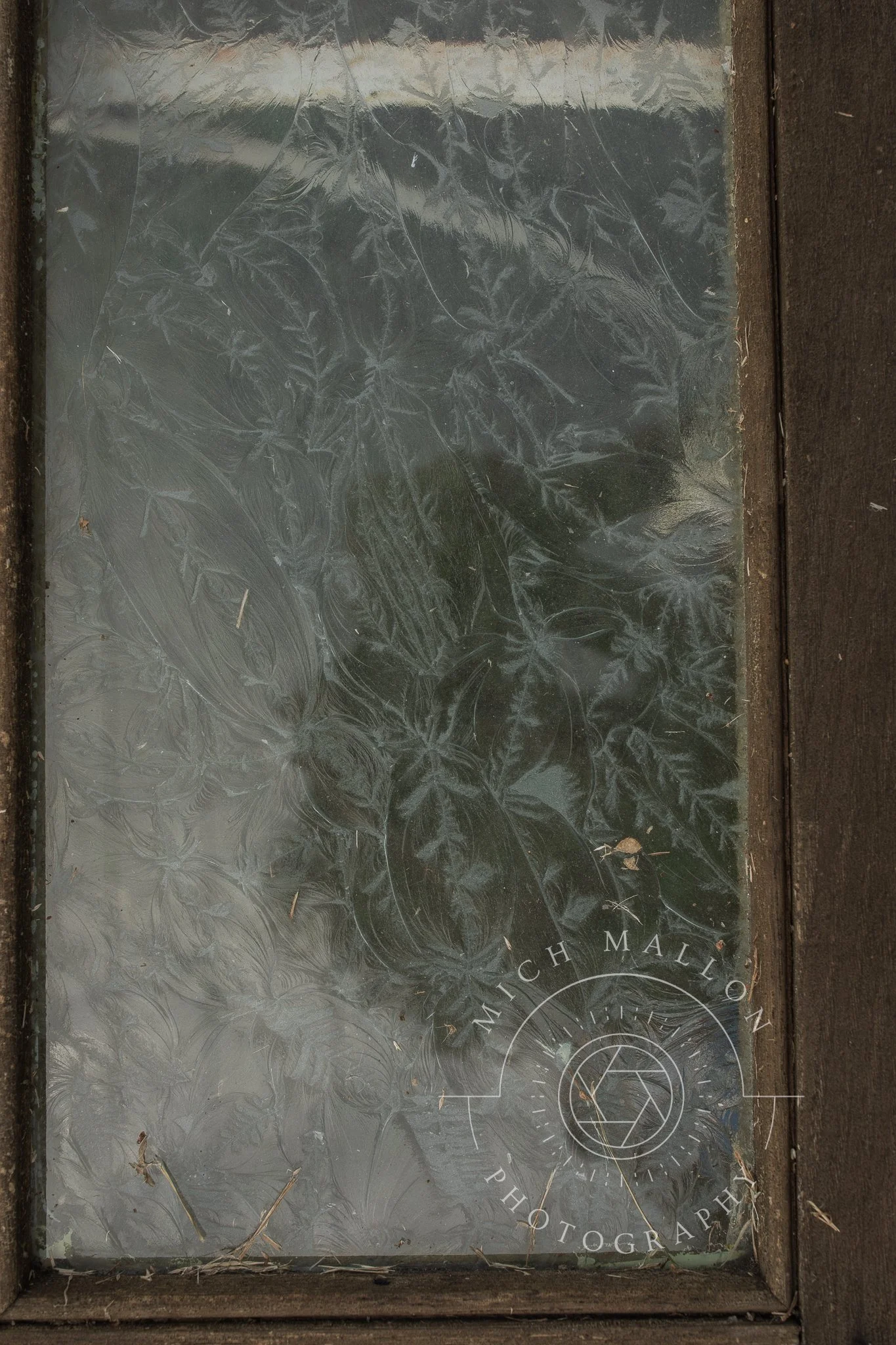 AntiquePhotos_MichMallonPhoto2026-34.jpg
