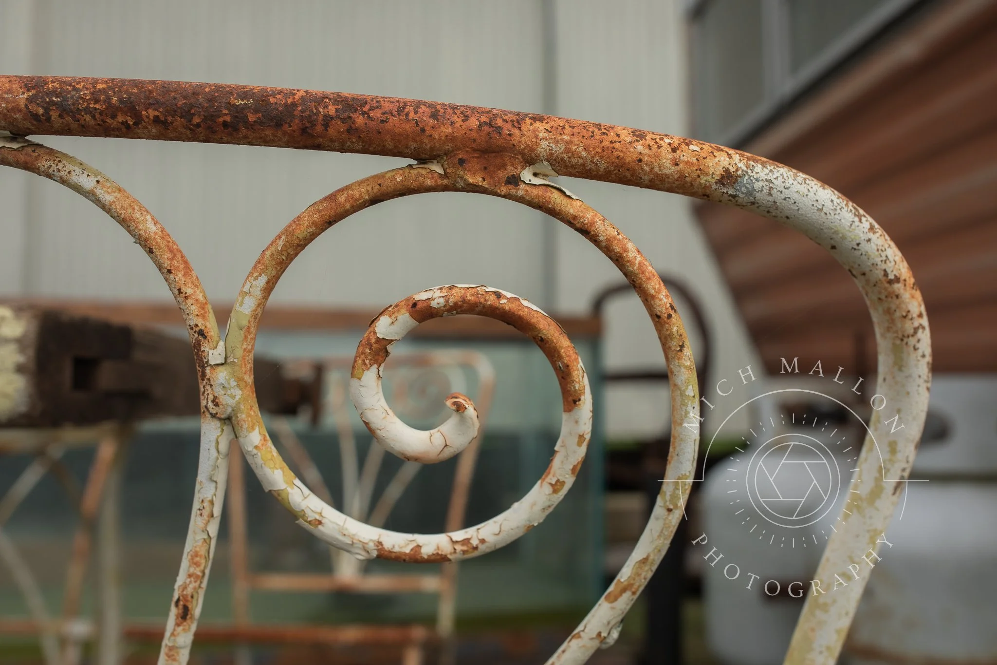 AntiquePhotos_MichMallonPhoto2026-36.jpg