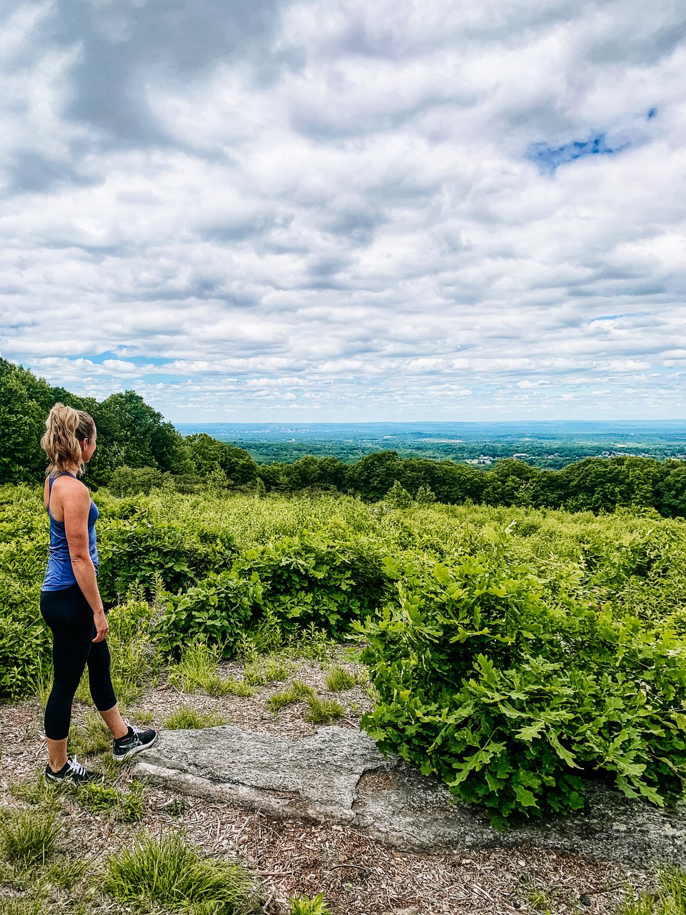 Case Mountain Manchester Live Well Ct