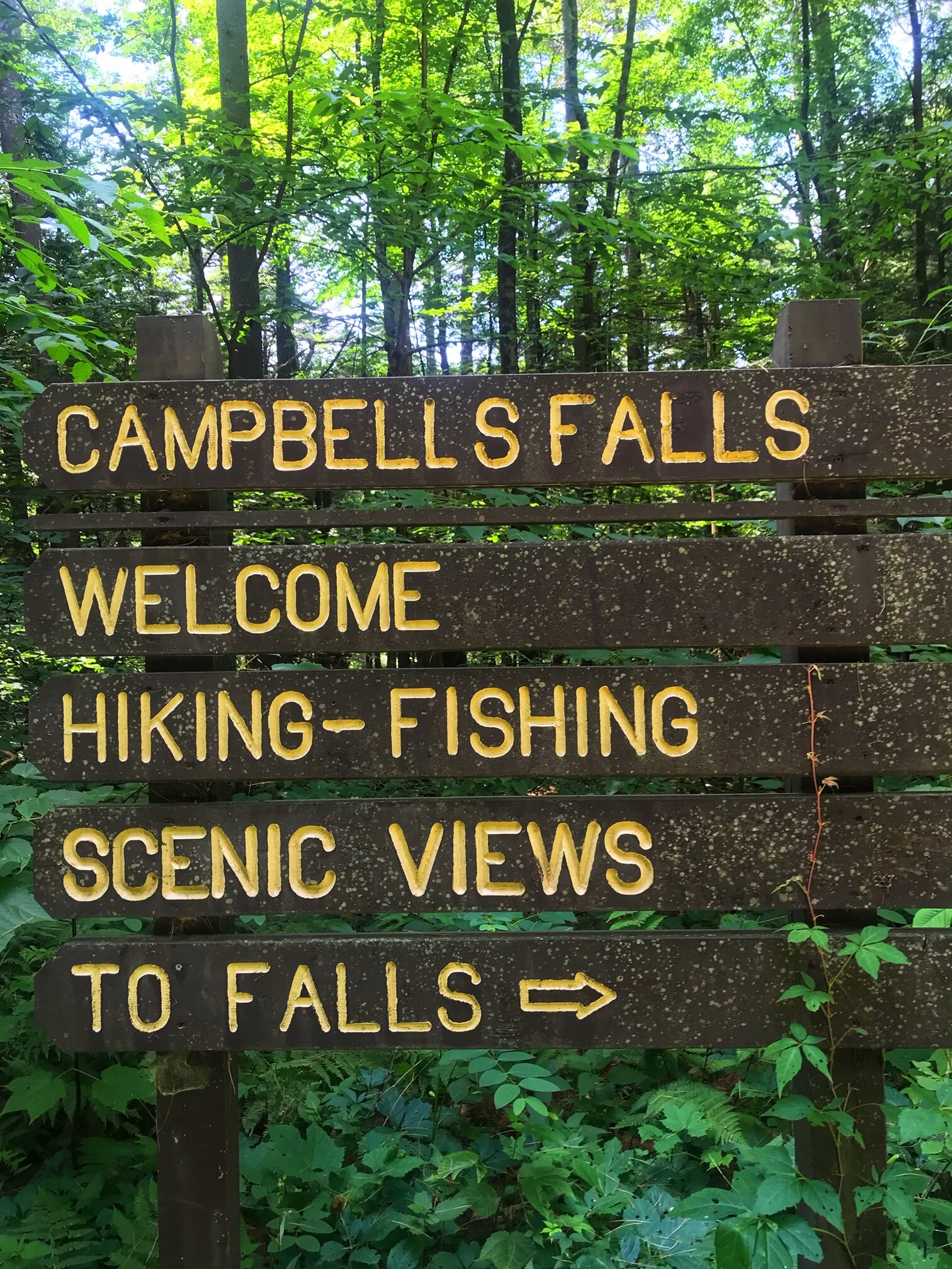 Campbell Falls 10.jpg