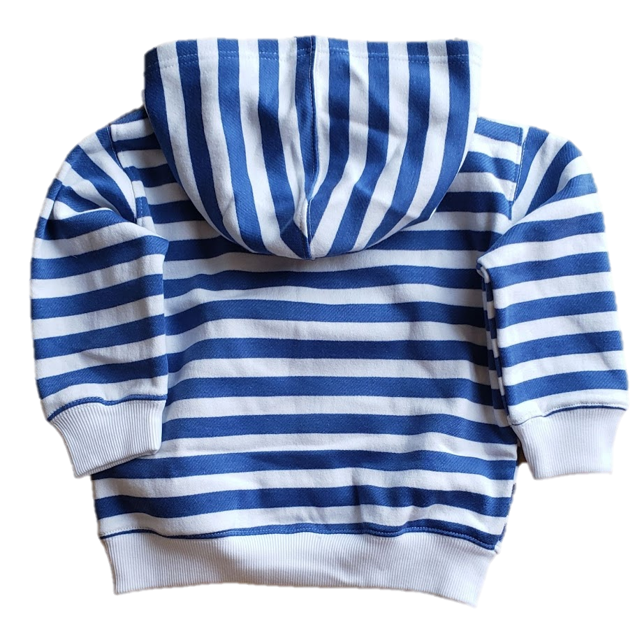blue stripe hoodie.png