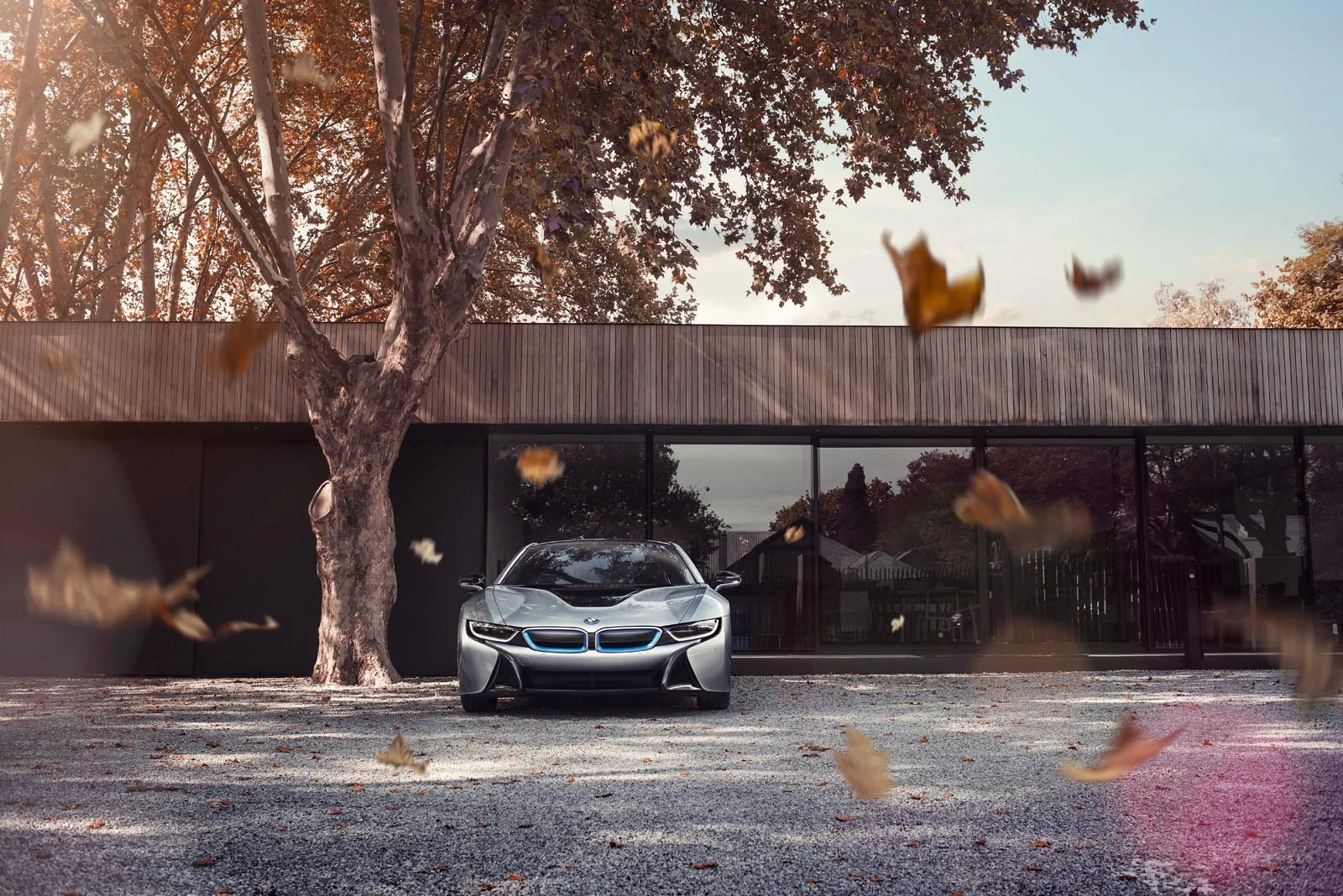 BMW_i8_Leaves_002.jpg