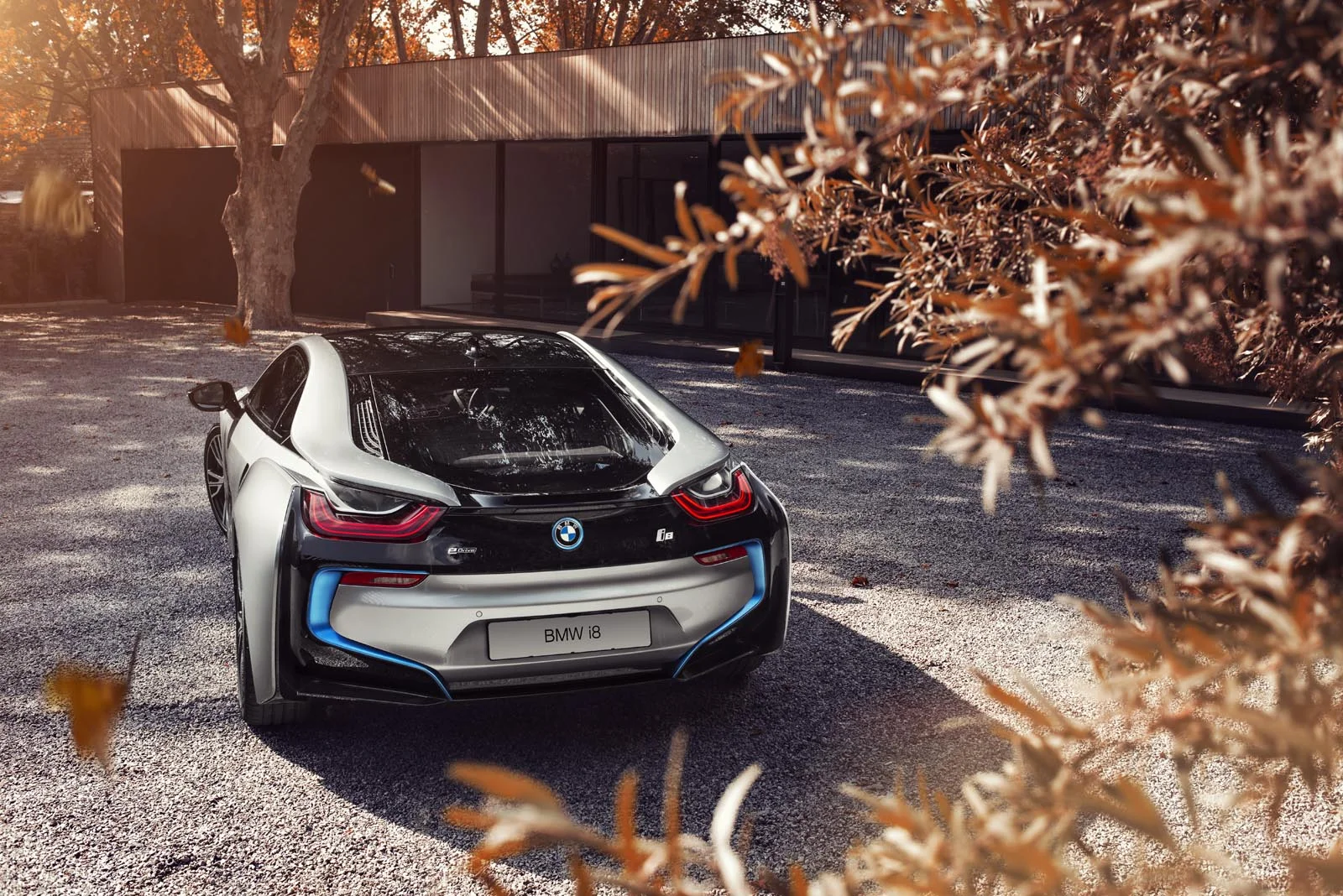 BMW_i8_Leaves_003.jpg
