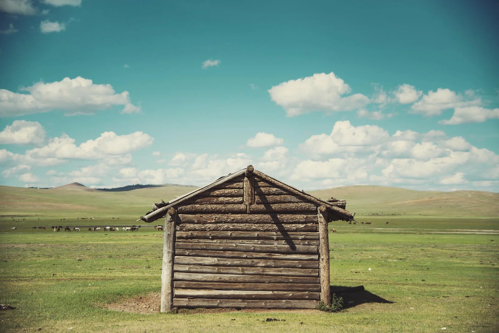 Asia_Cycle_Trip_Mongolia_008.jpg