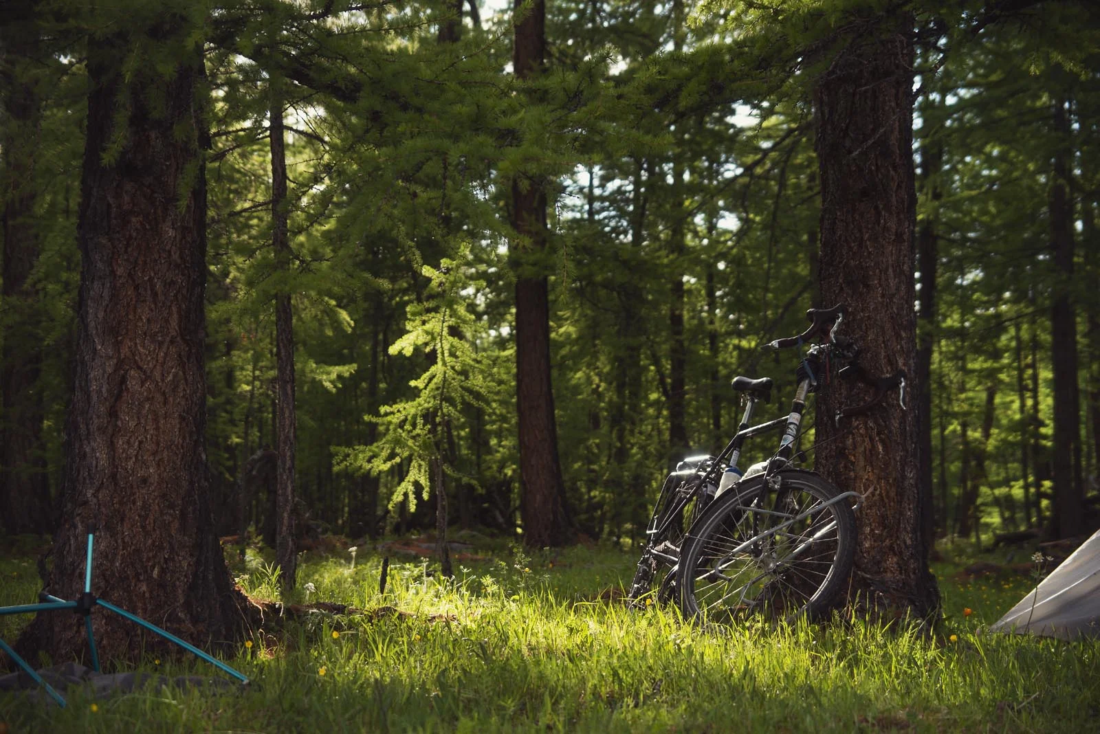 Asia_Cycle_Trip_Mongolia_014.jpg
