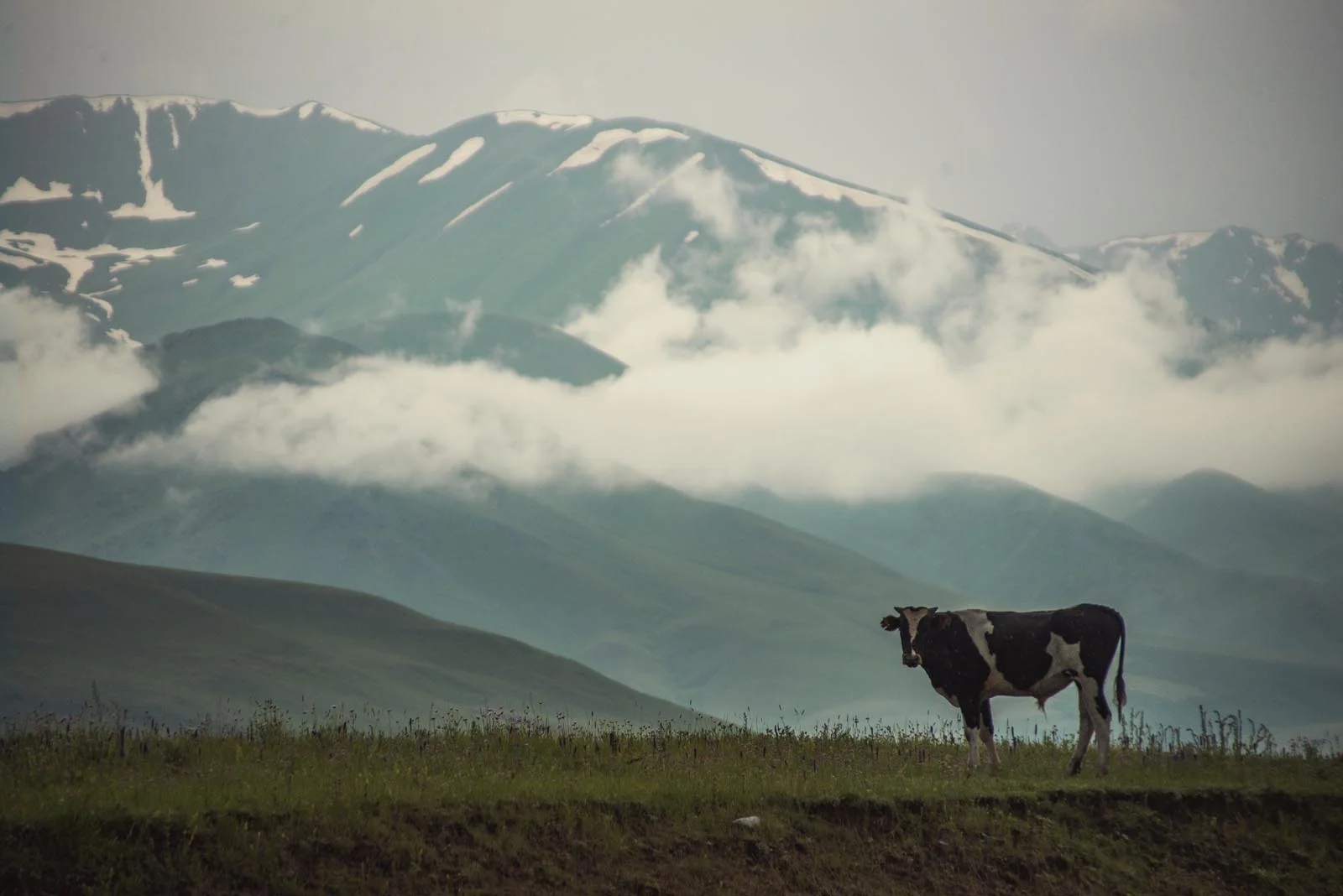 Asia_Cycle_Trip_Kyrgyzstan_001.jpg