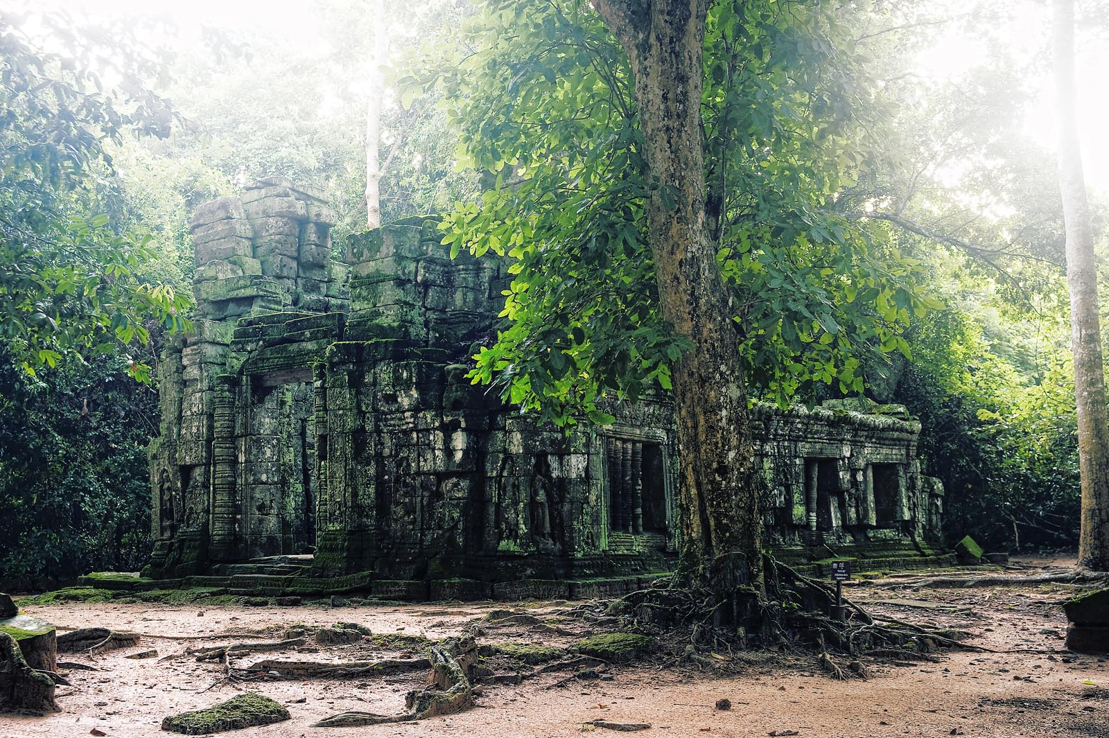 Temples_Angkor_Cambodia_006.jpg