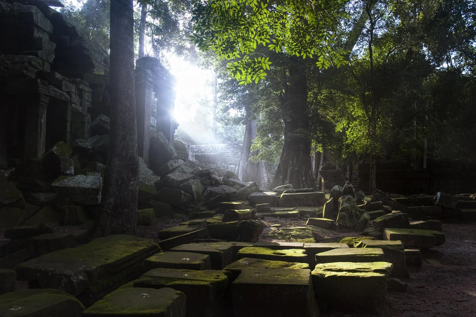 Temples_Angkor_Cambodia_010.jpg