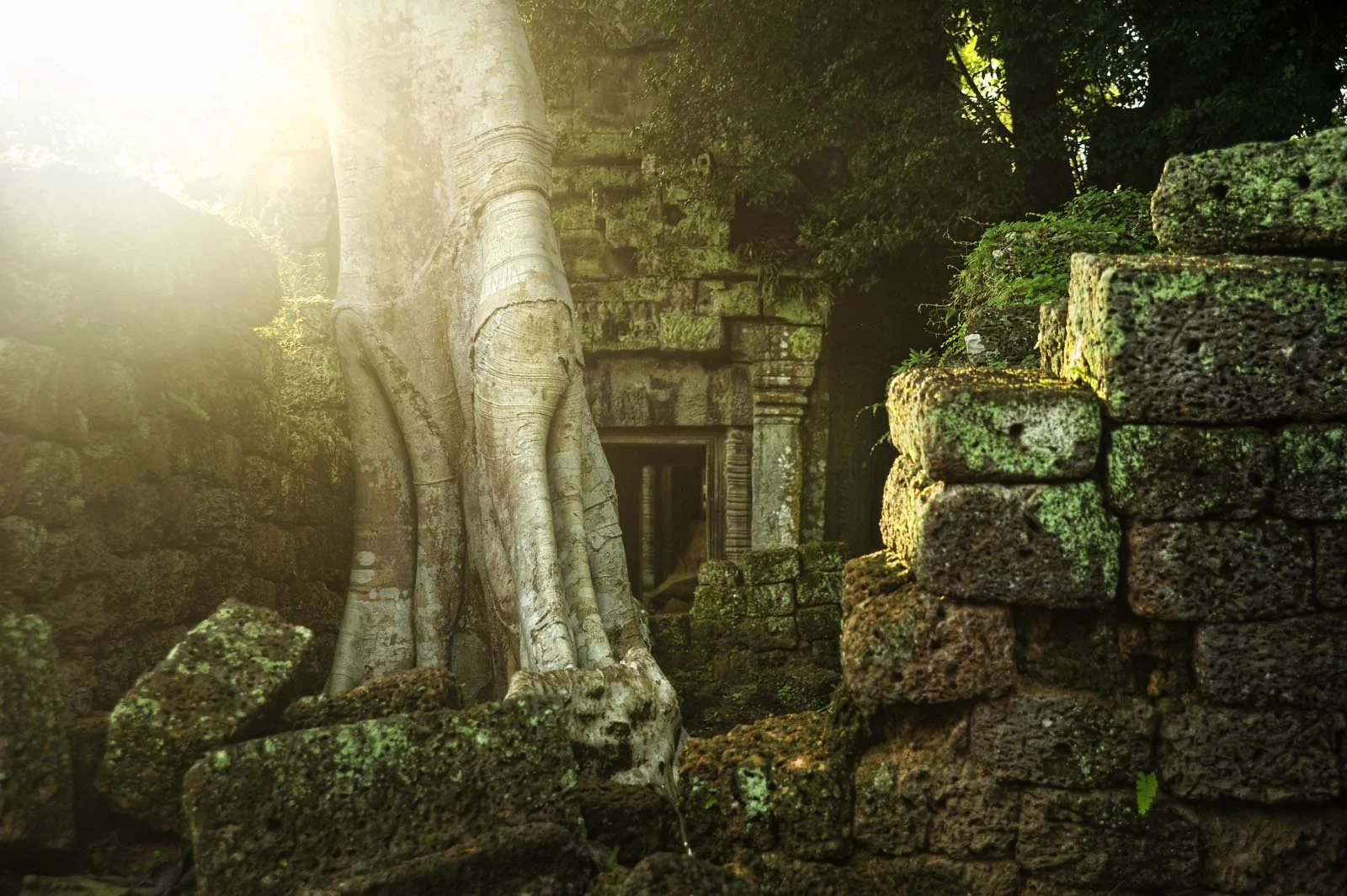 Temples_Angkor_Cambodia_013.jpg