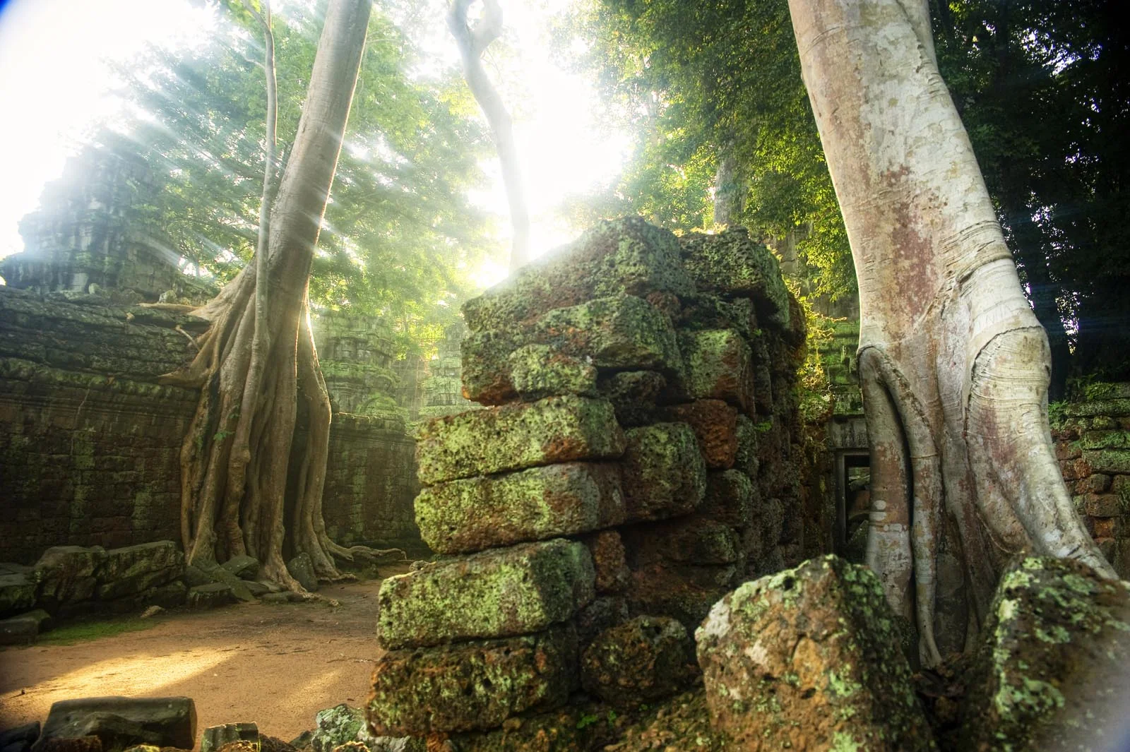 Temples_Angkor_Cambodia_014.jpg