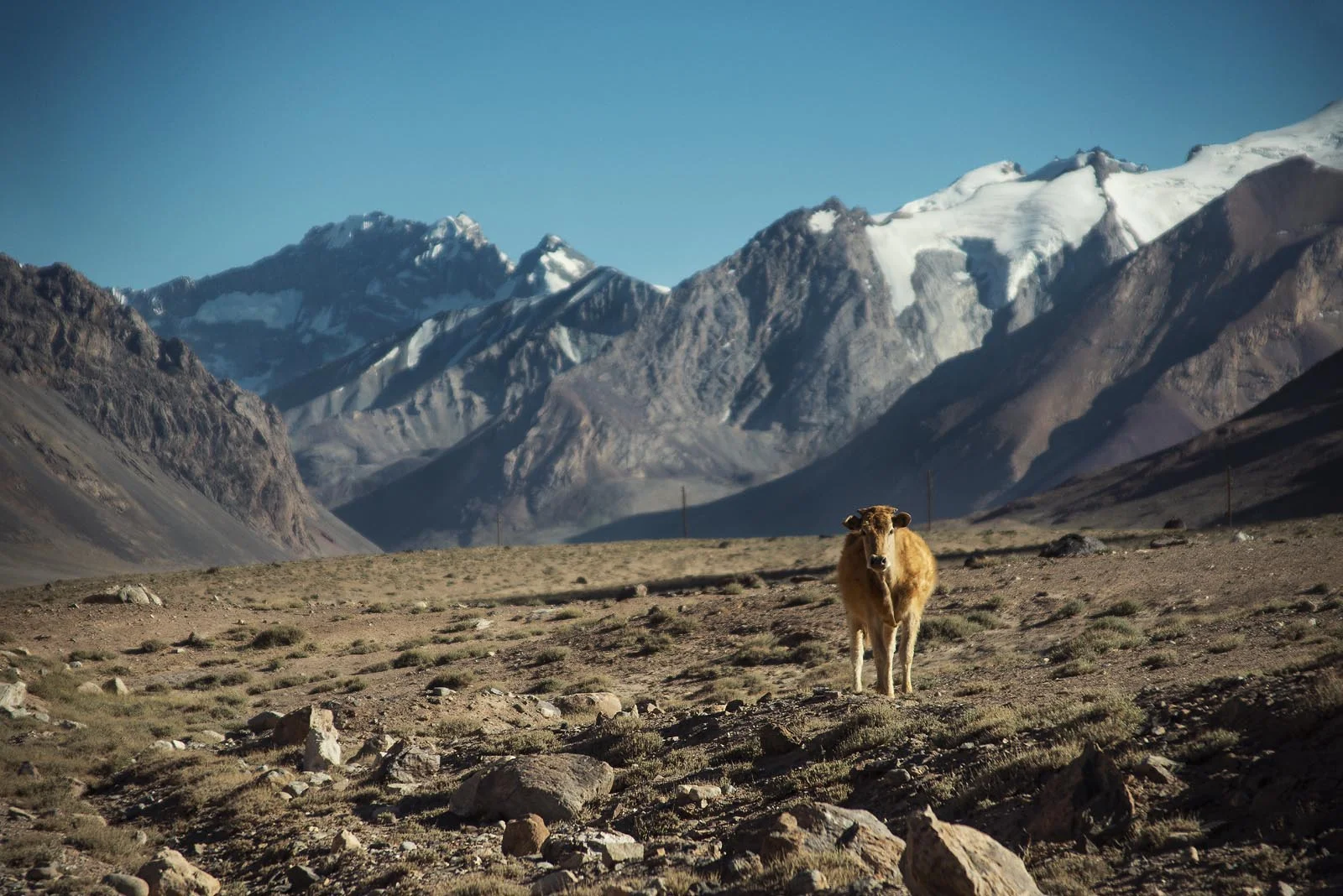Asia_Cycle_Trip_Tajikistan_008.jpg