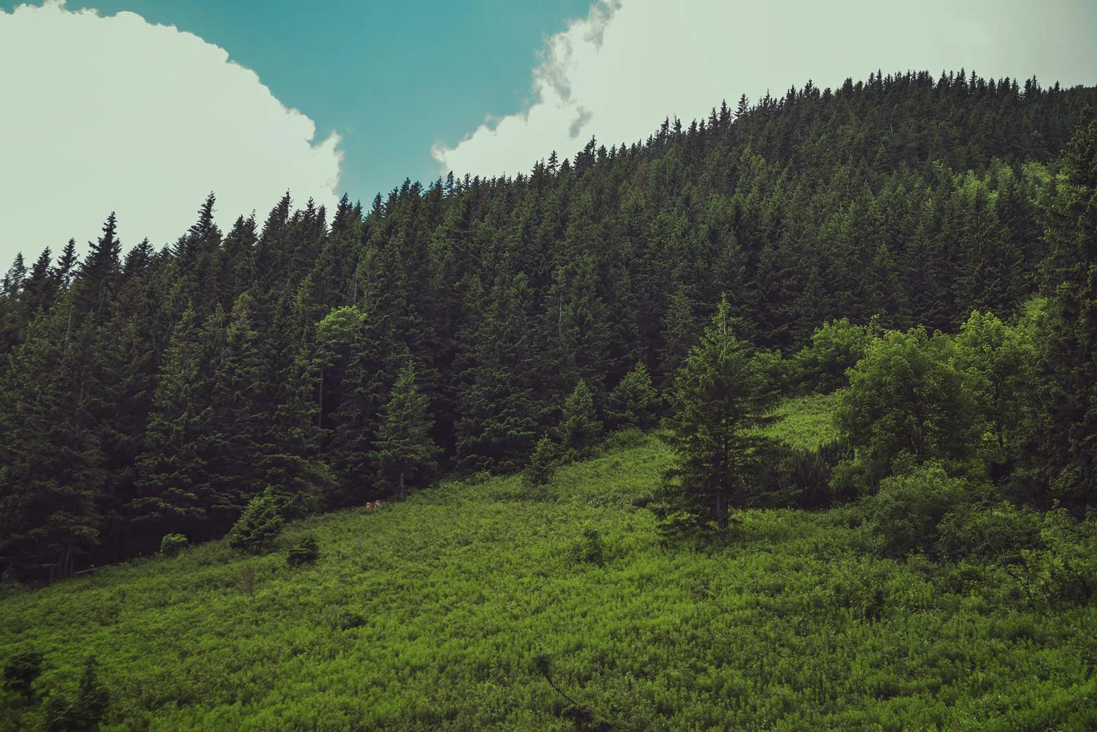 High_Tatras_Mountains_Slovakia_006.jpg