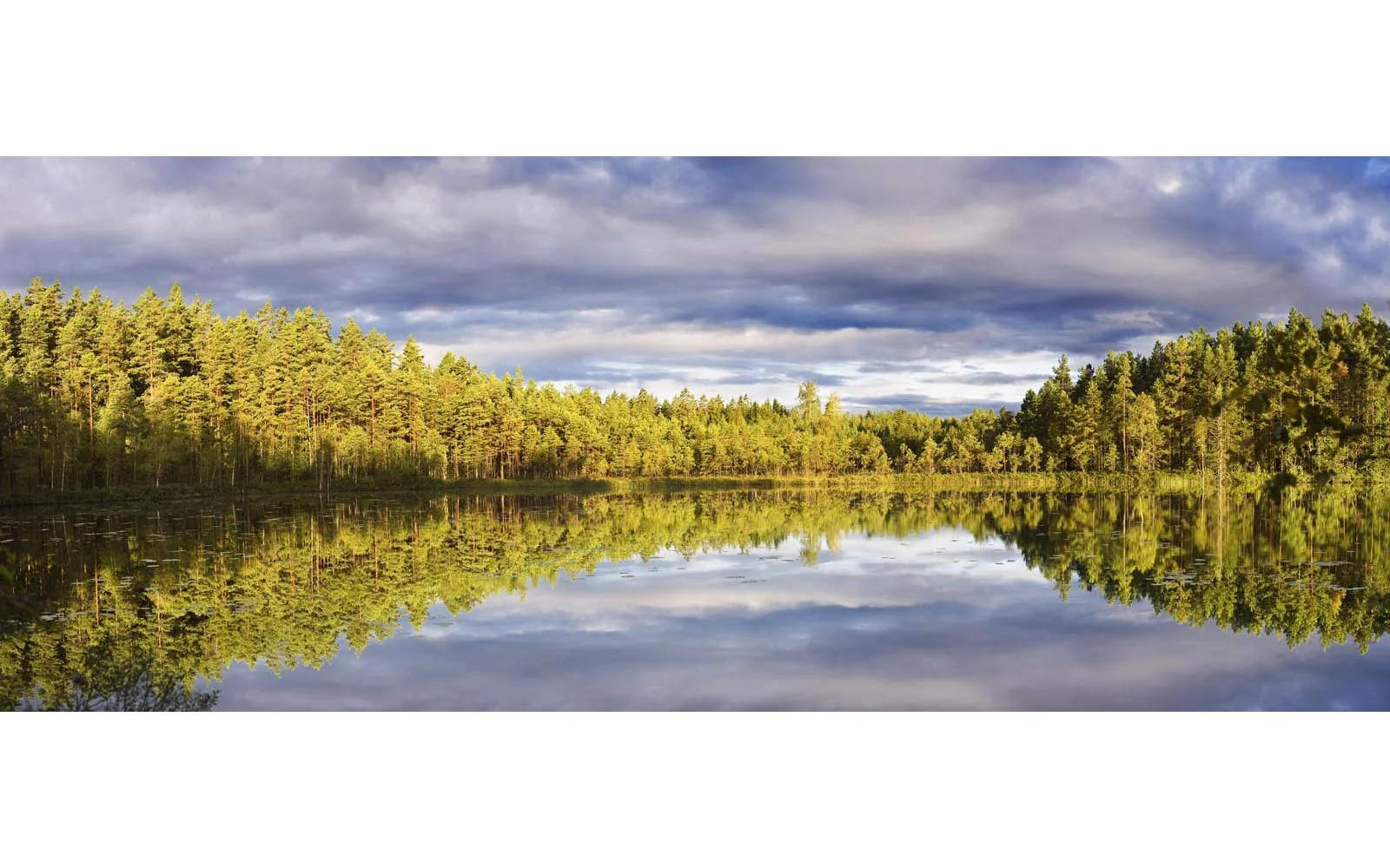 Sweden_Landscapes_001.jpg