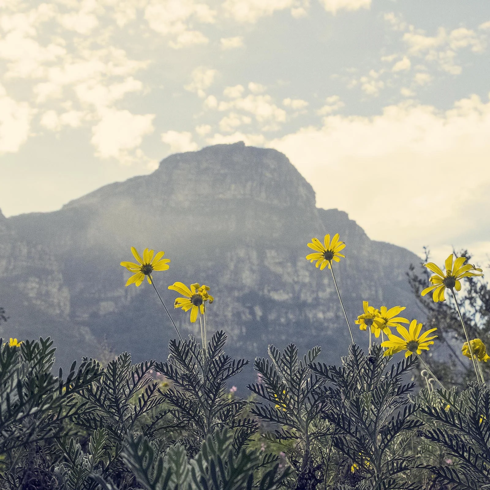 South_Africa_001.jpg