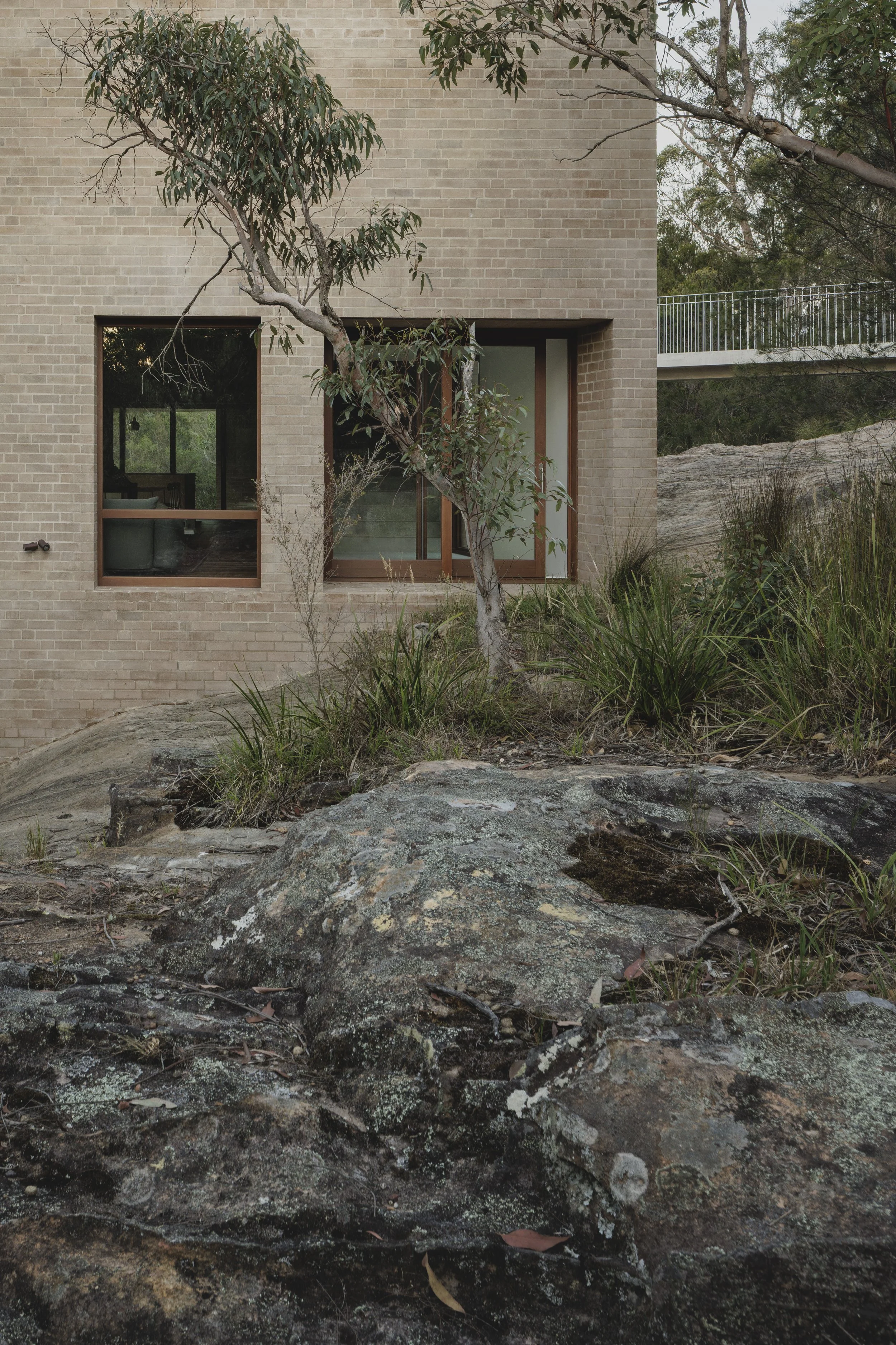 A modern brick house with large windows, surrounded by rocks and native plants, including a small tree, on a natural landscaped site.